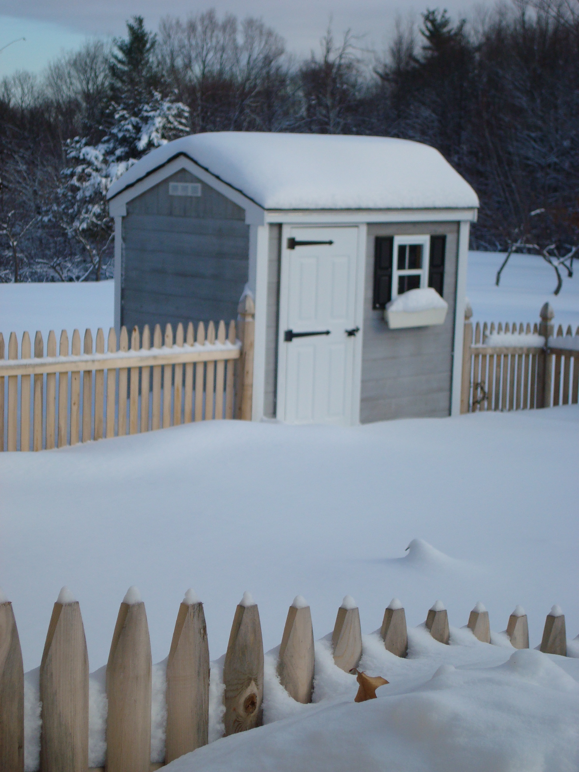 New Hampshire garden in the winter