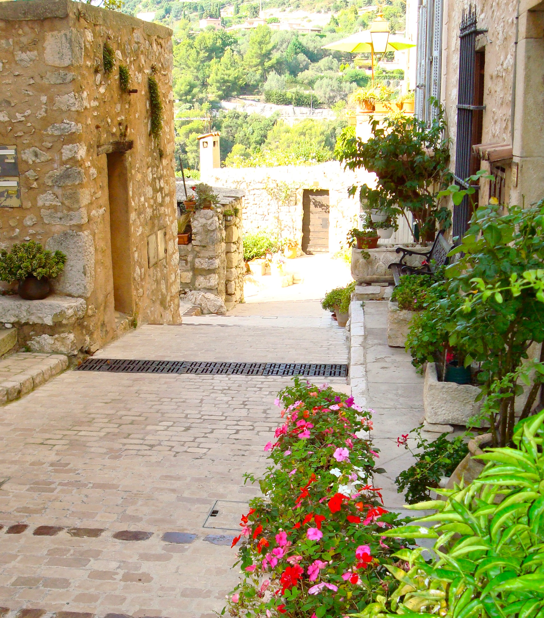 DSC01294 street