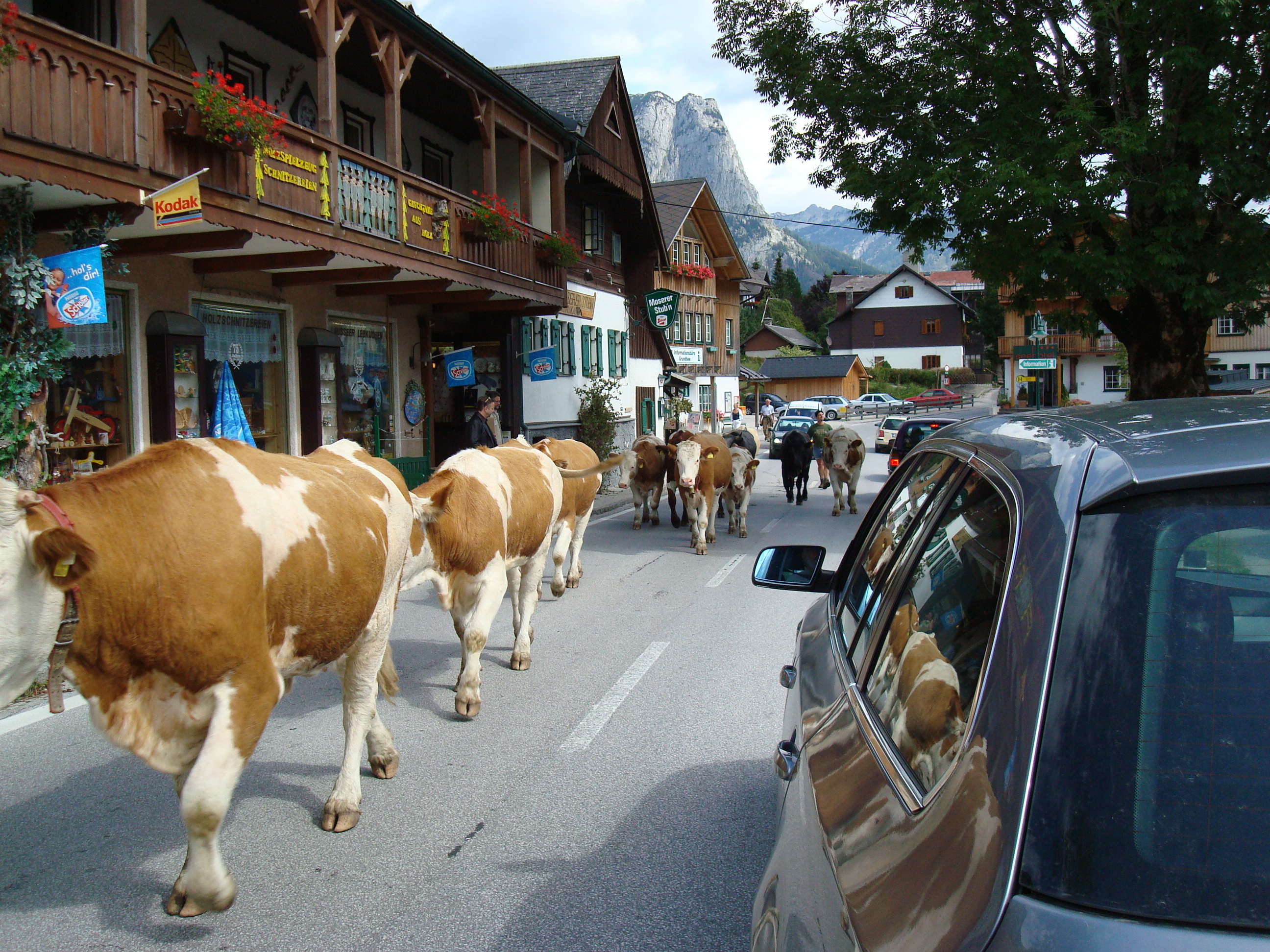 DSC00075 Traffic Jam