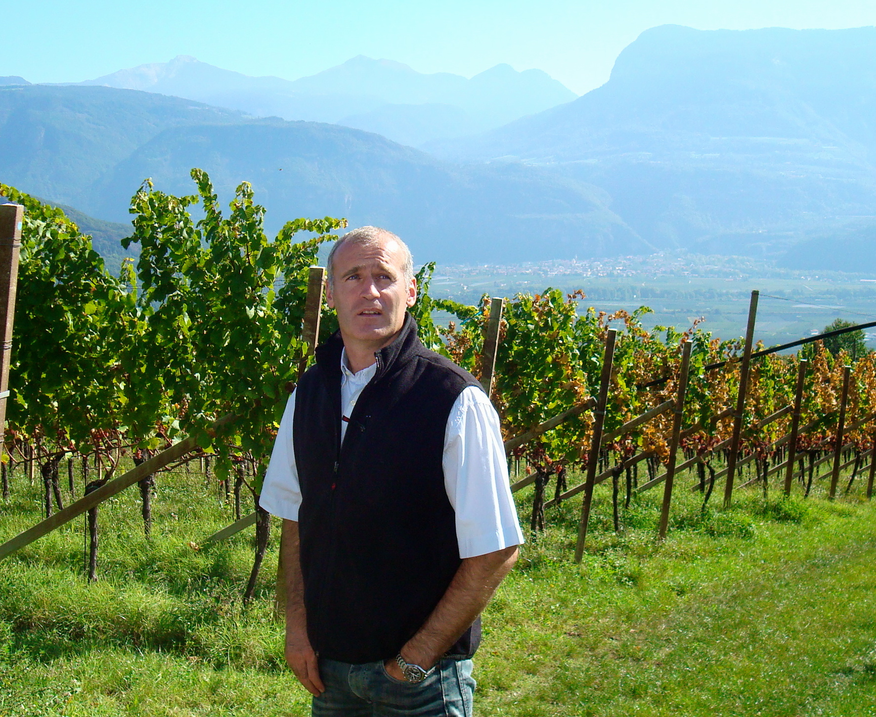 Willi Sturz in tramin vineyard