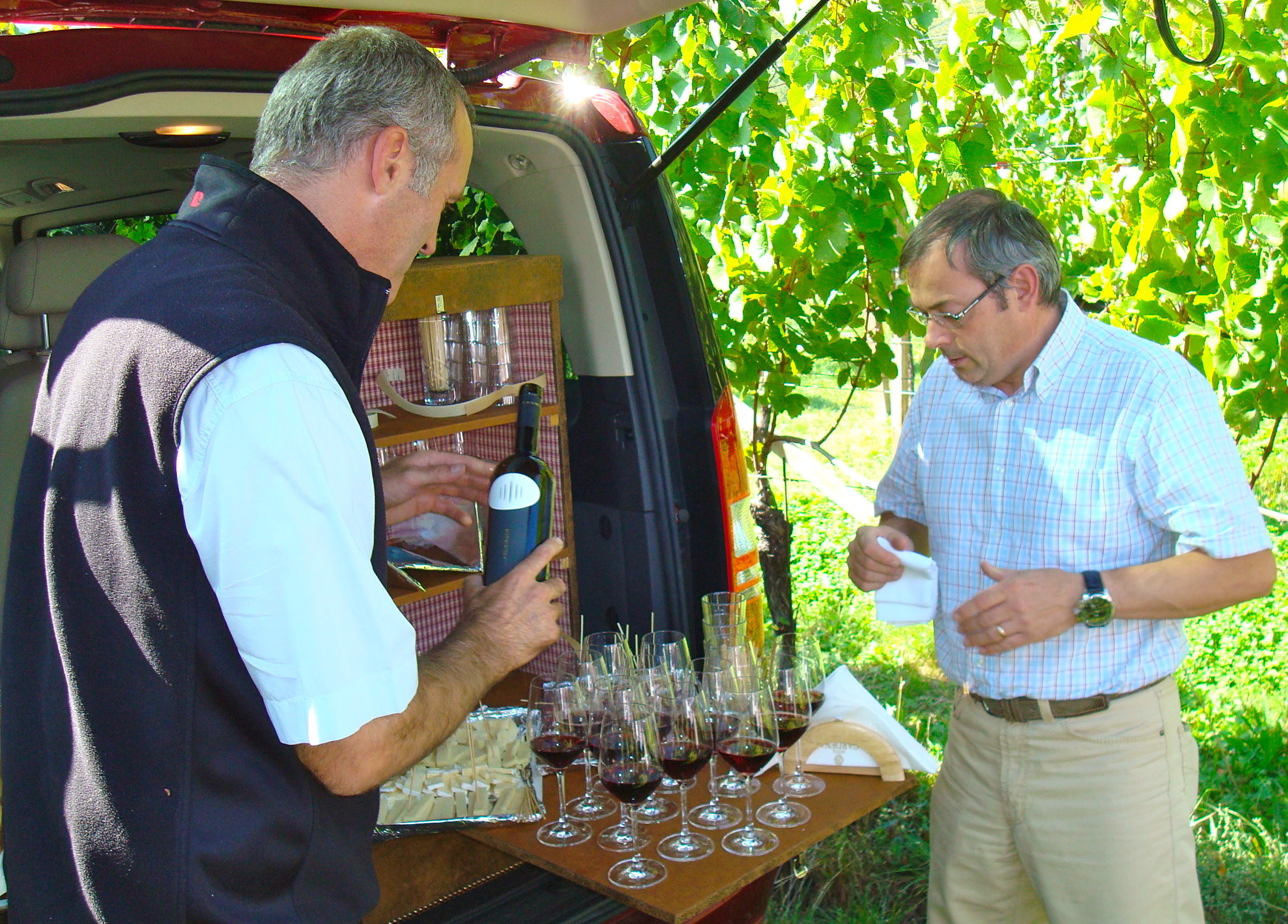 Willi Sturz and Franz Lageder