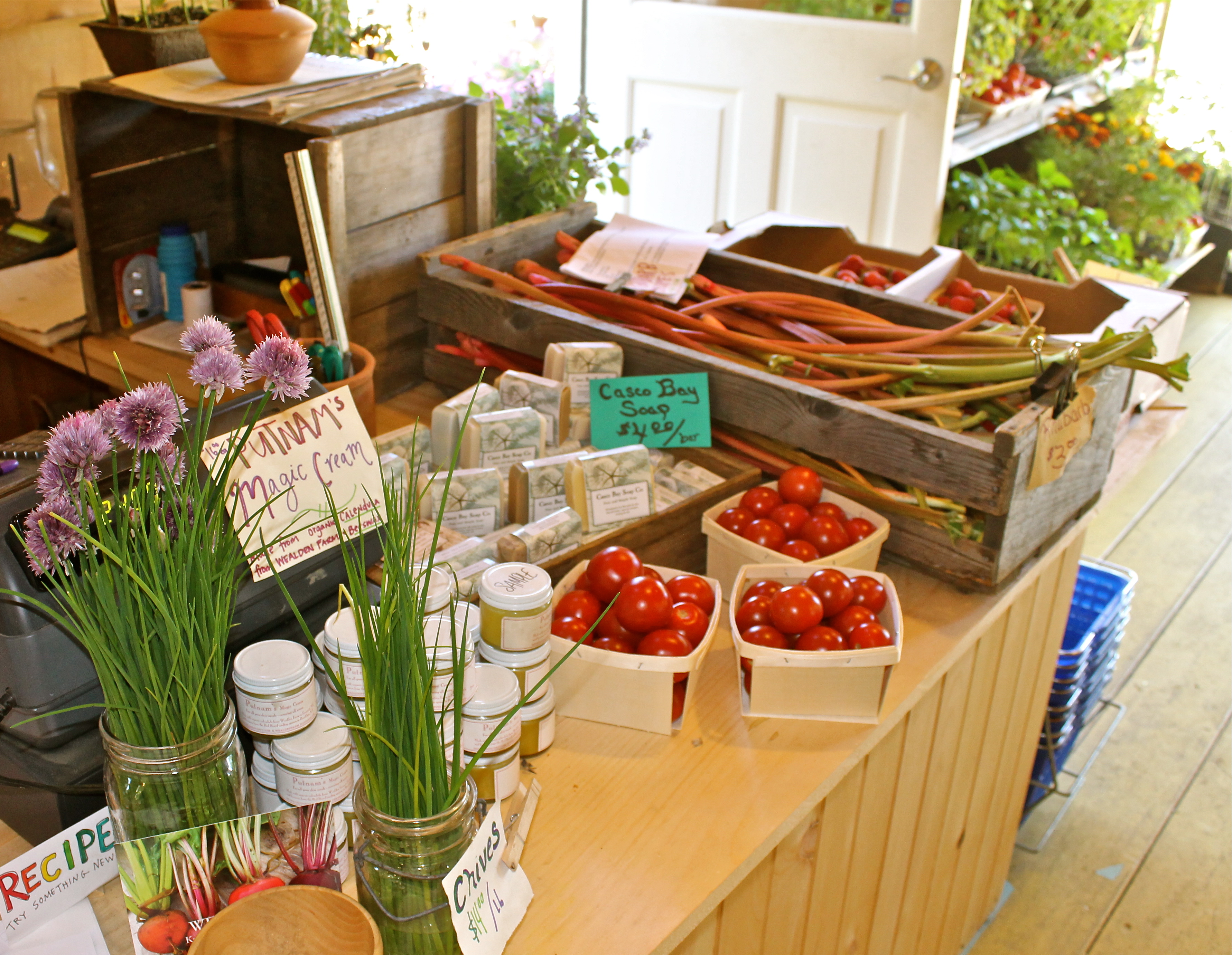 farm fresh tomatoes