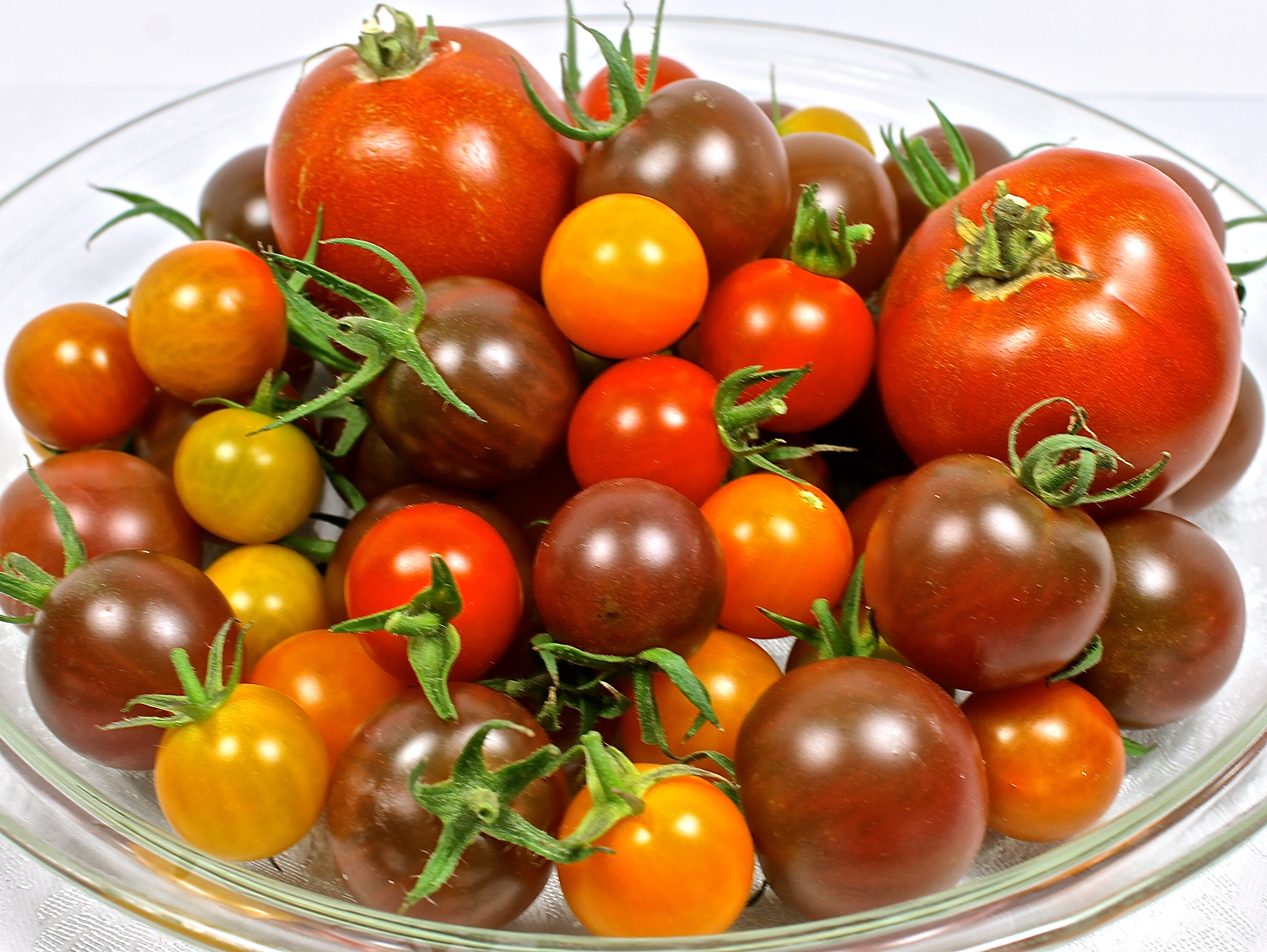 fresh cherry tomatoes