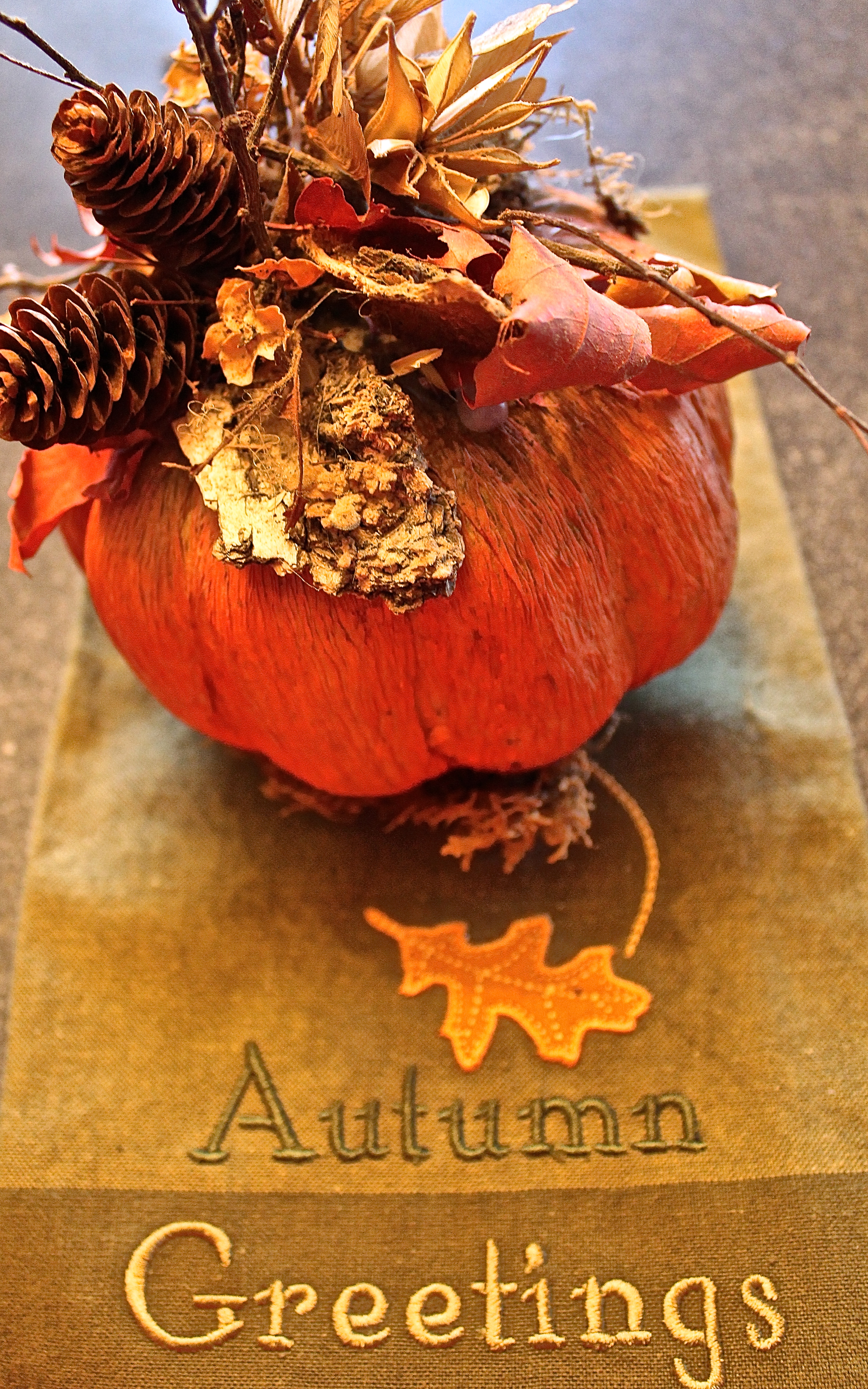 IMG_0870 Autumn Greetings