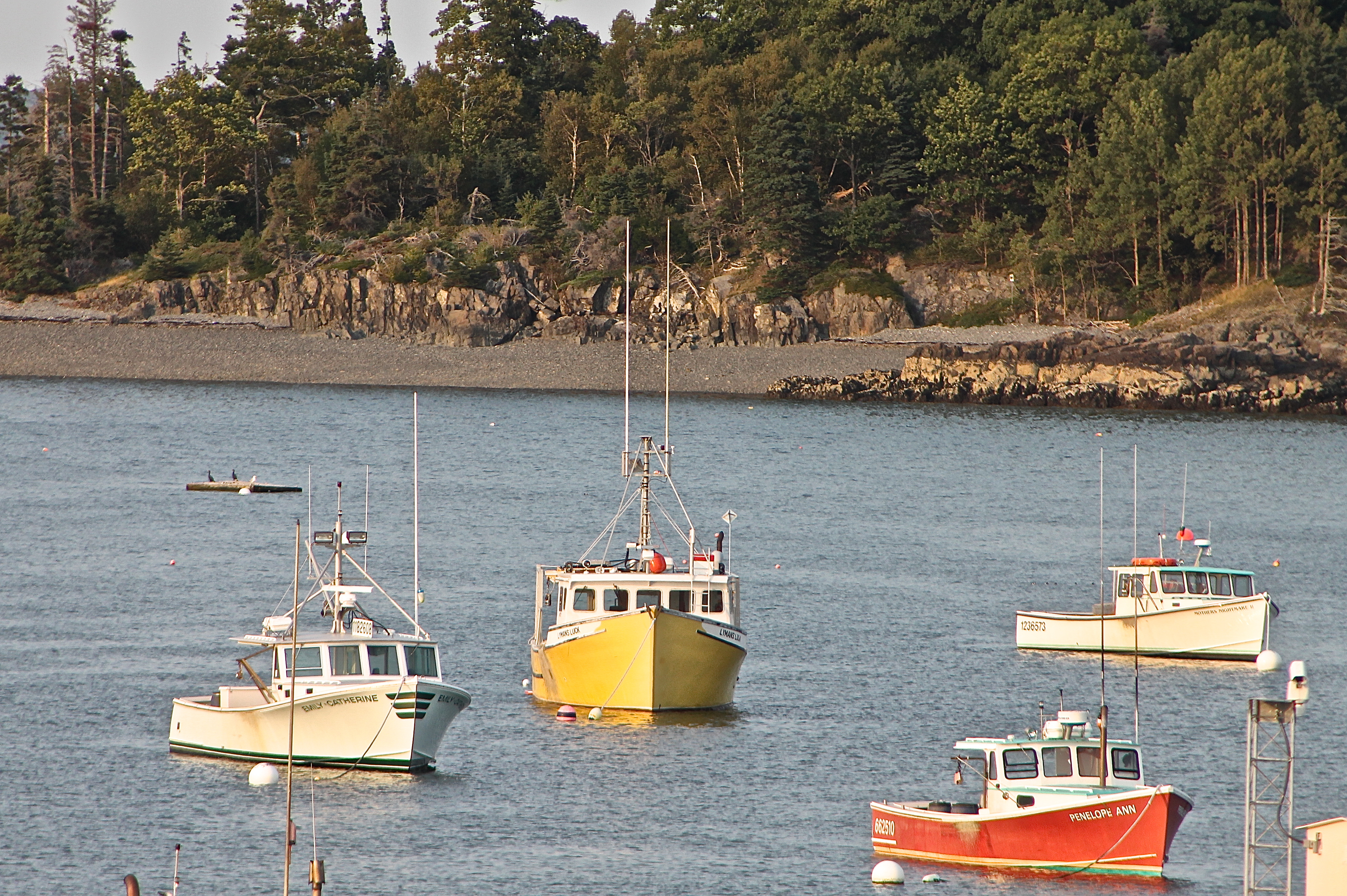 Lobster Boats
