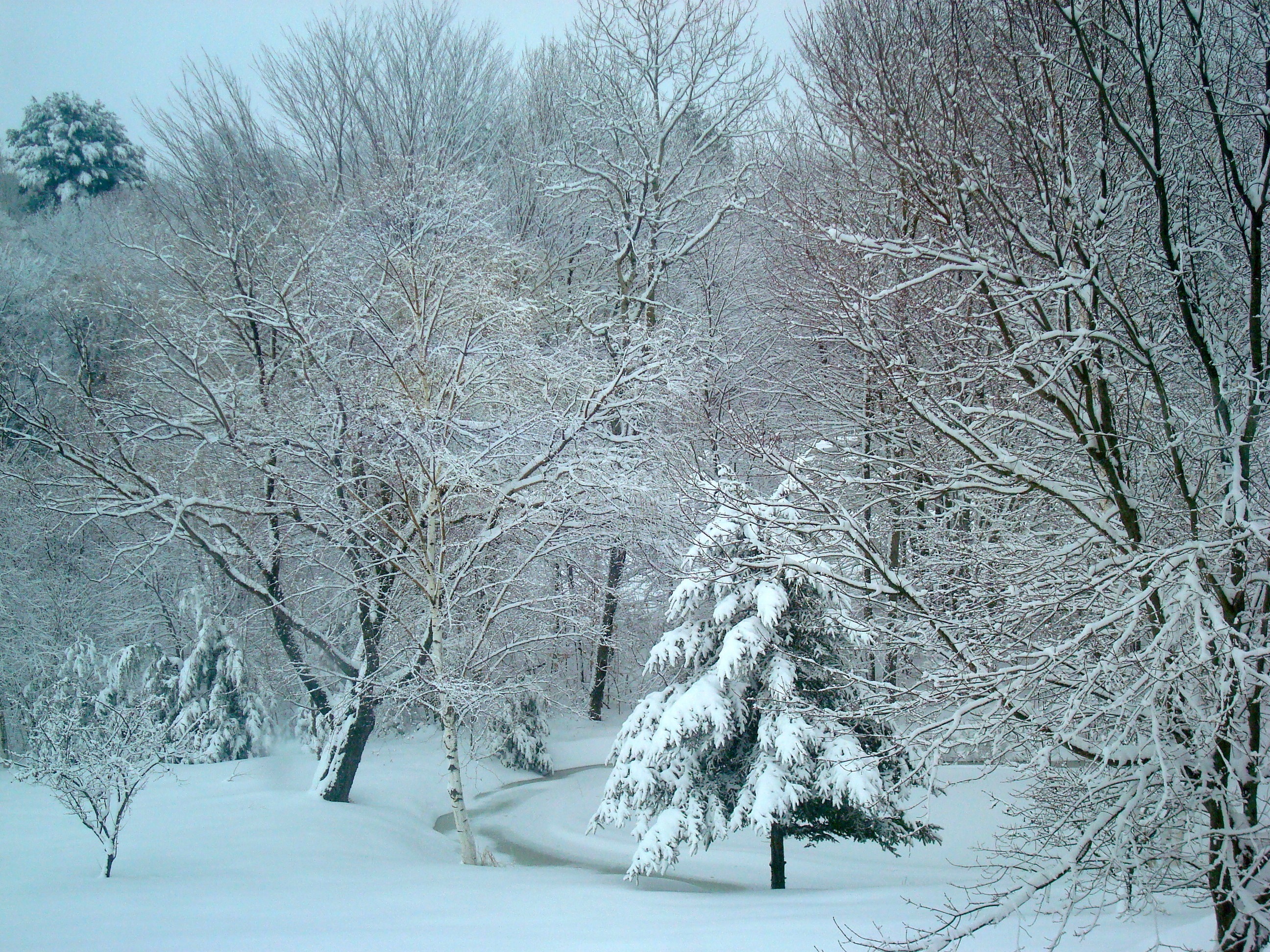 A World Of Black And White And All Shades Of Gray