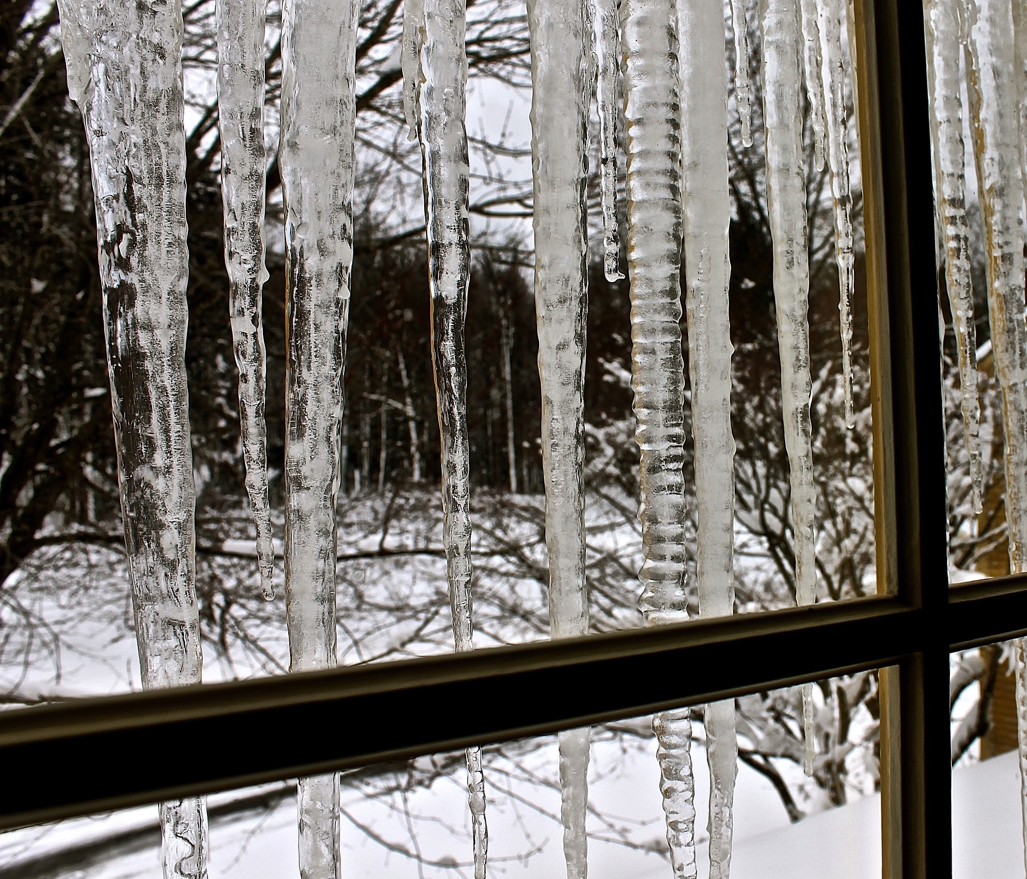 Icicles Cover The Windows
