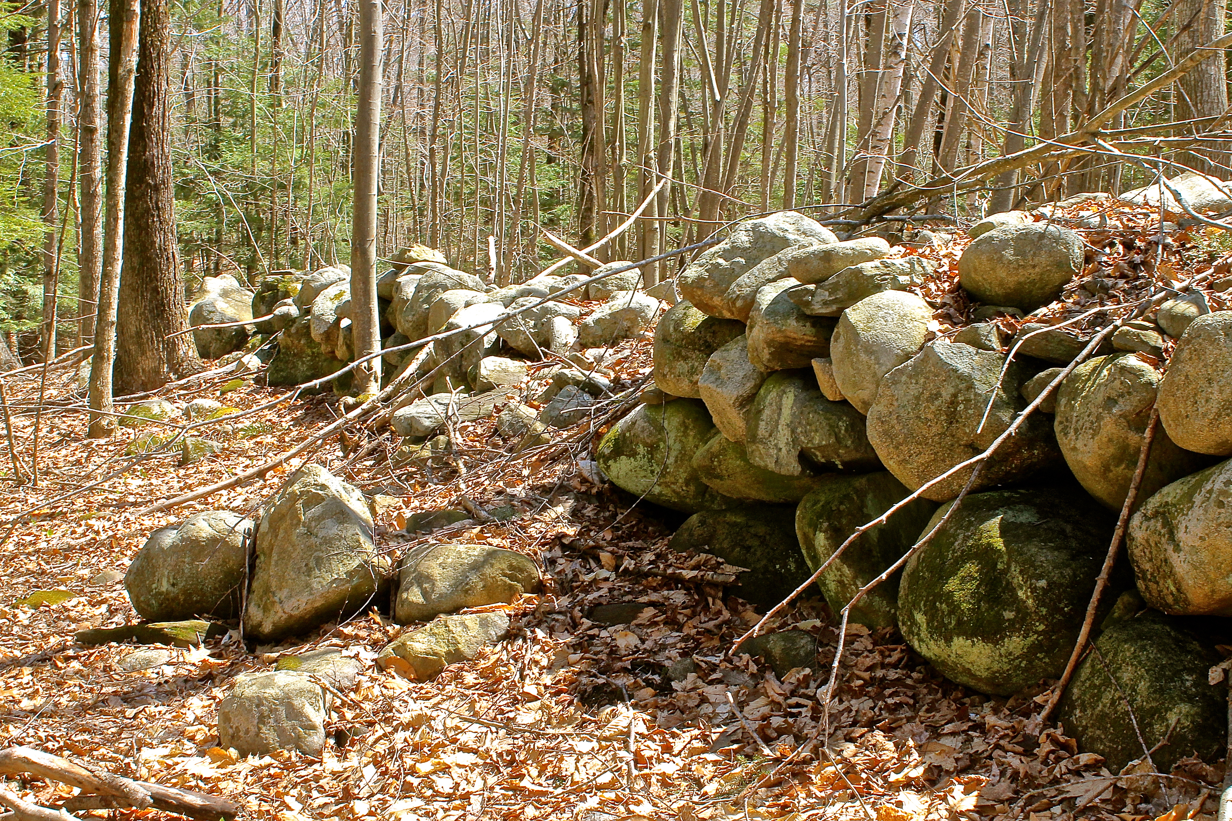 Tumbling Rock Wall In The Woods