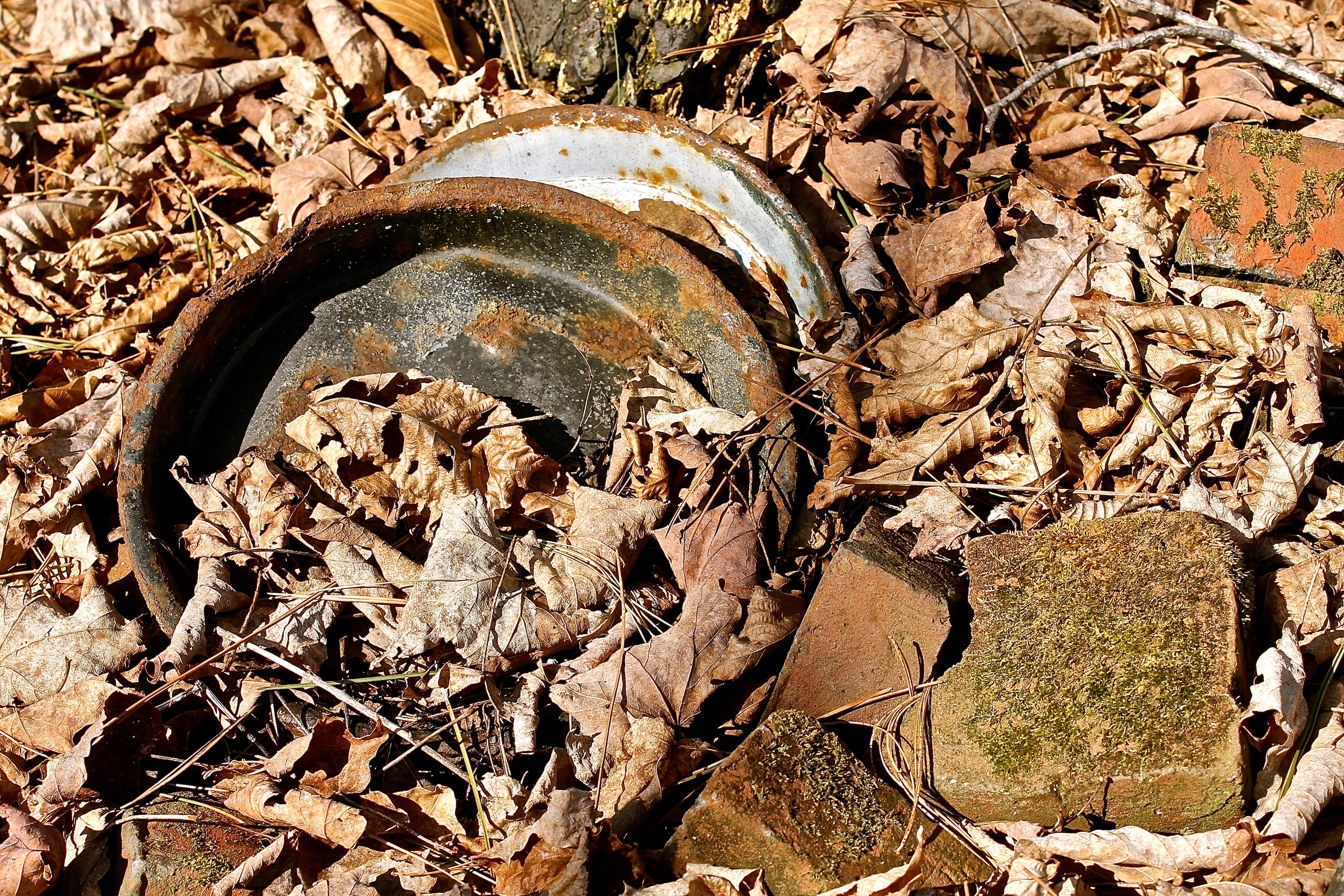 Pans Found Among The Crumbling Bricks