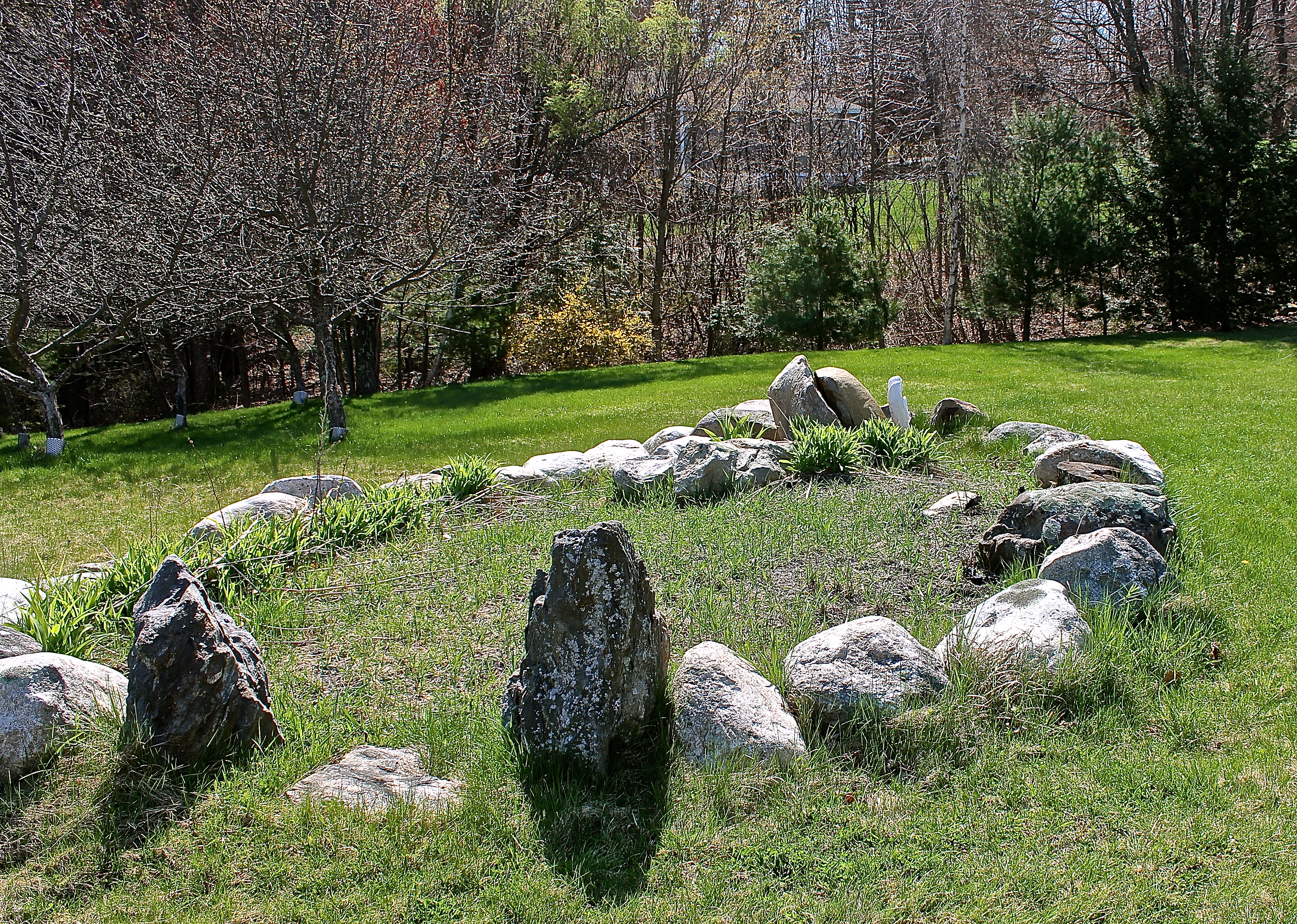 The Rock Garden And Future Home To A Save The Bees Project