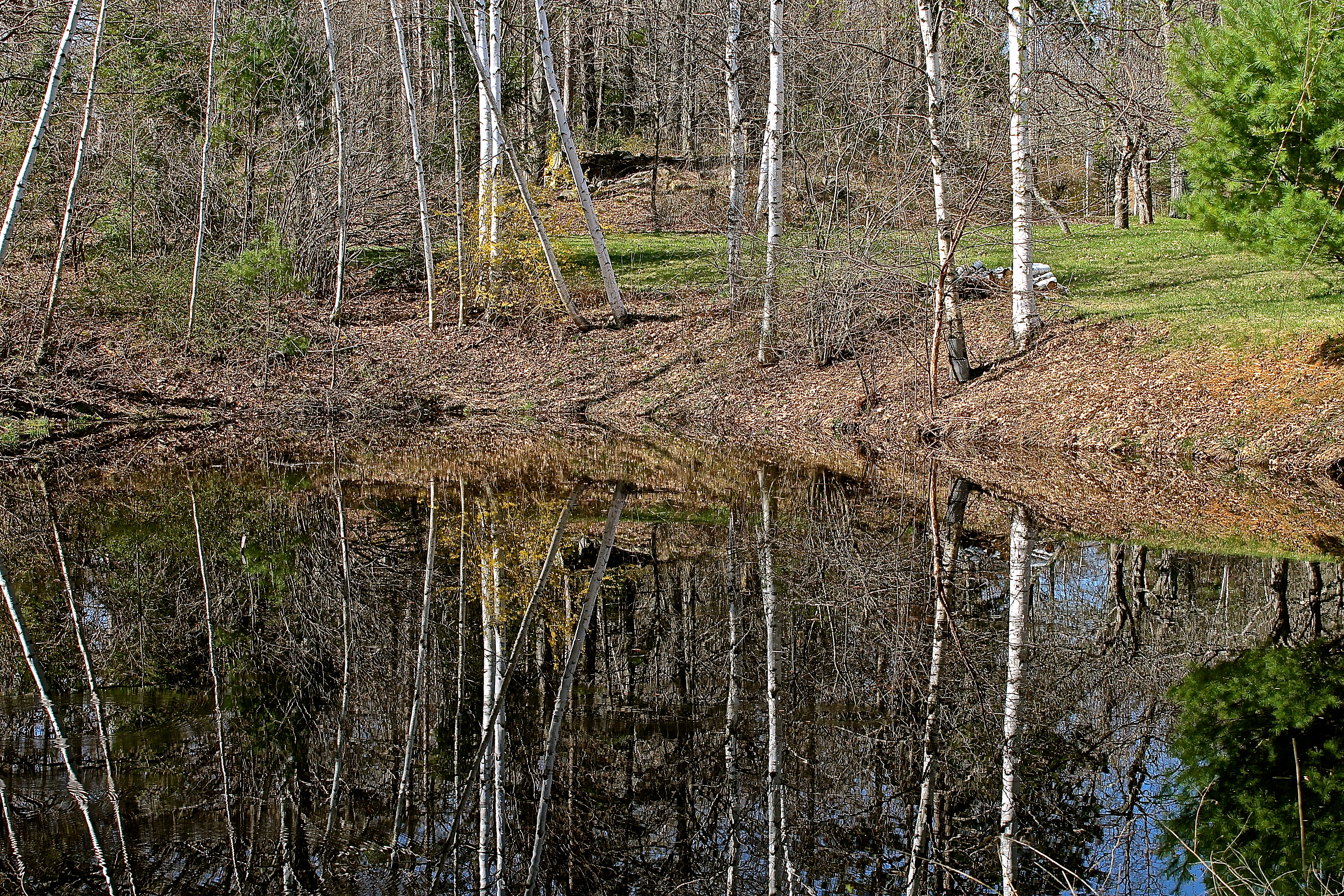 Not A Ripple On The Pond...It Looks Like a Mirror