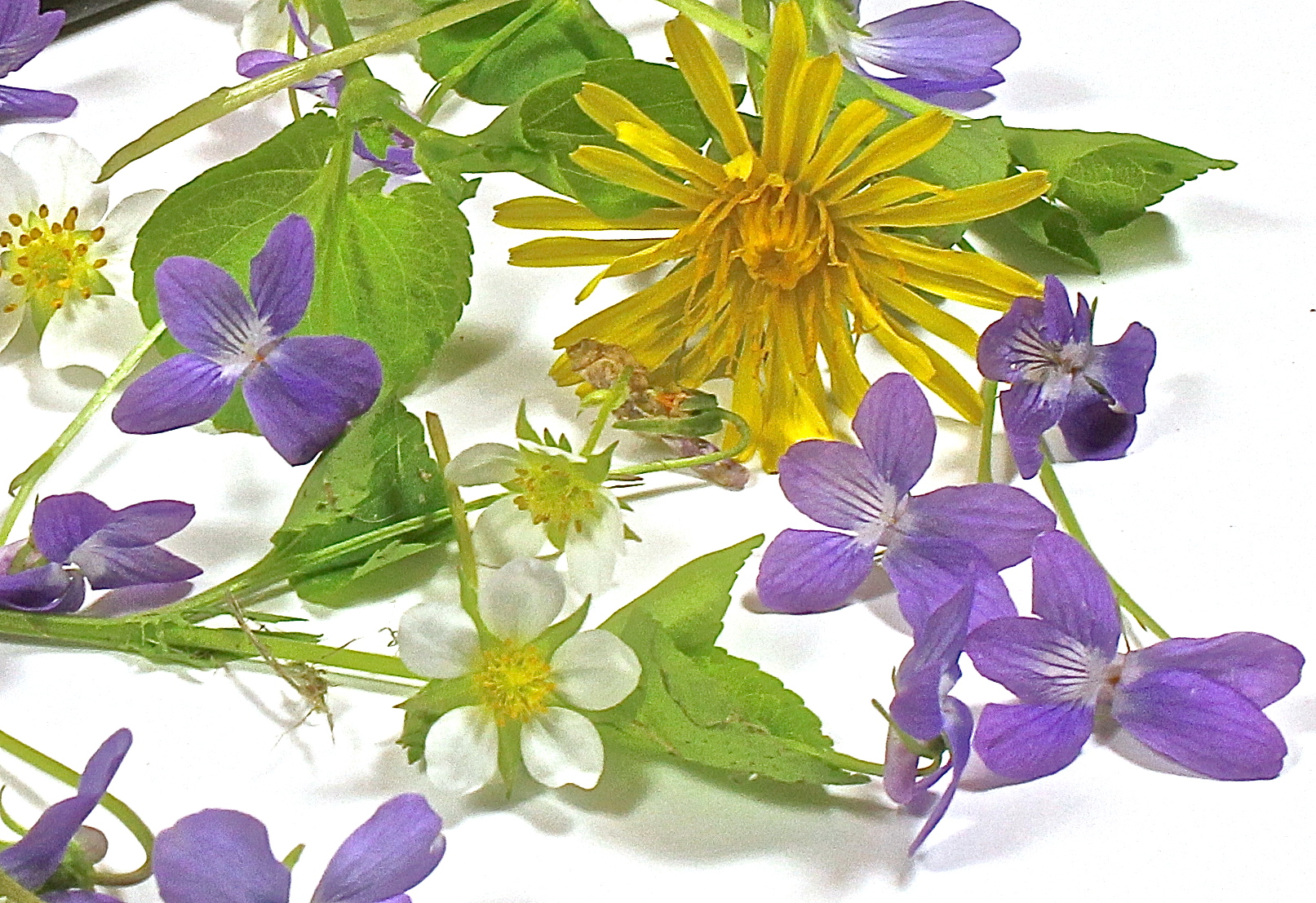 Wildflowers From The Orchard