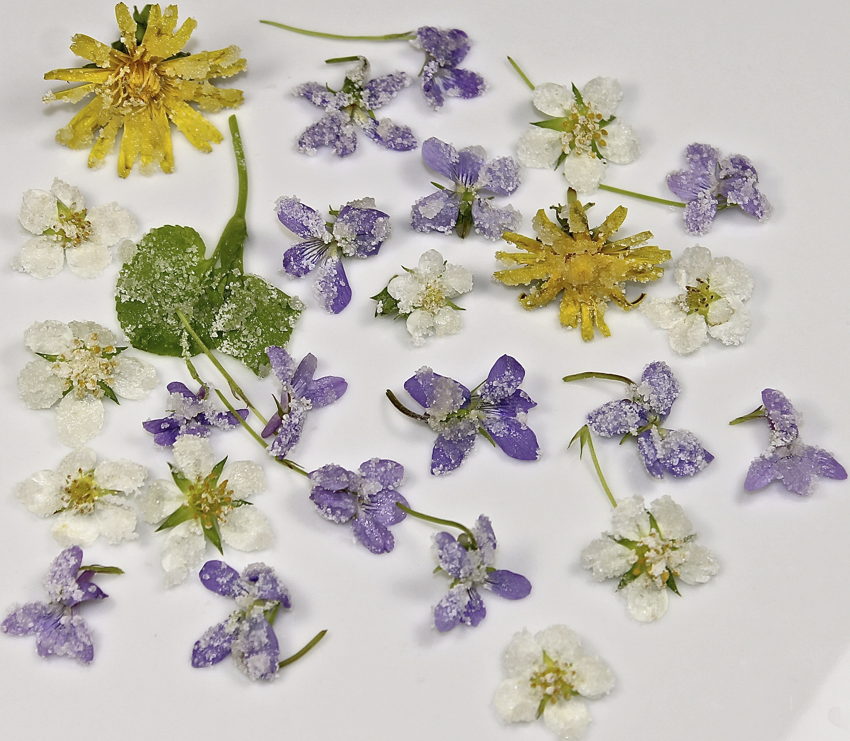 Candied Flowers