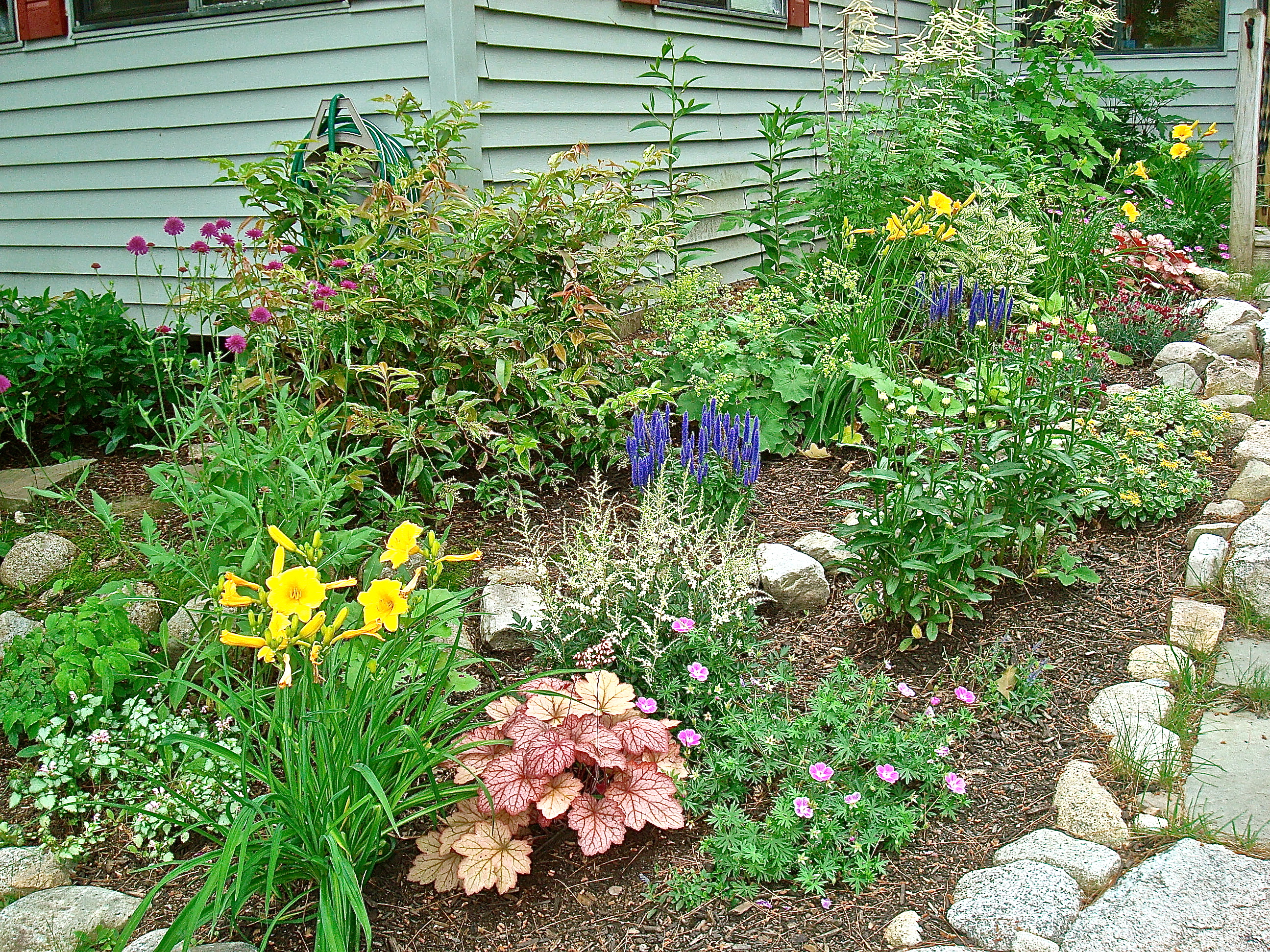 Deck Garden Last July