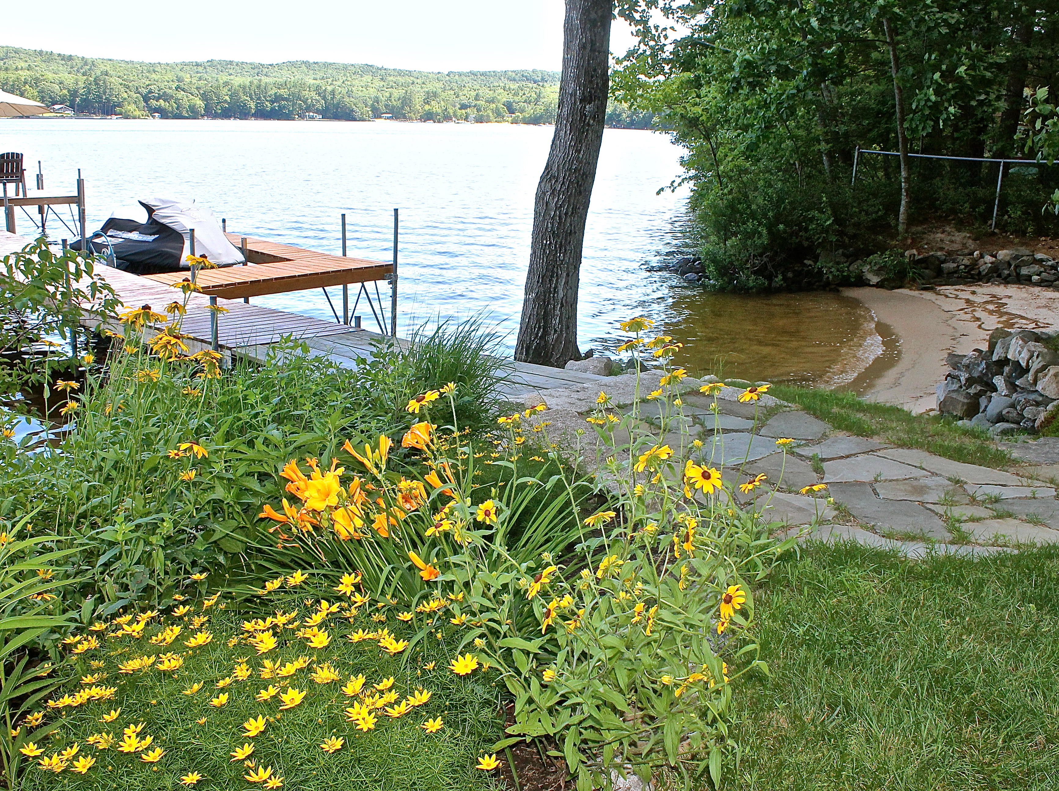 Lakeside Garden In Bloom 