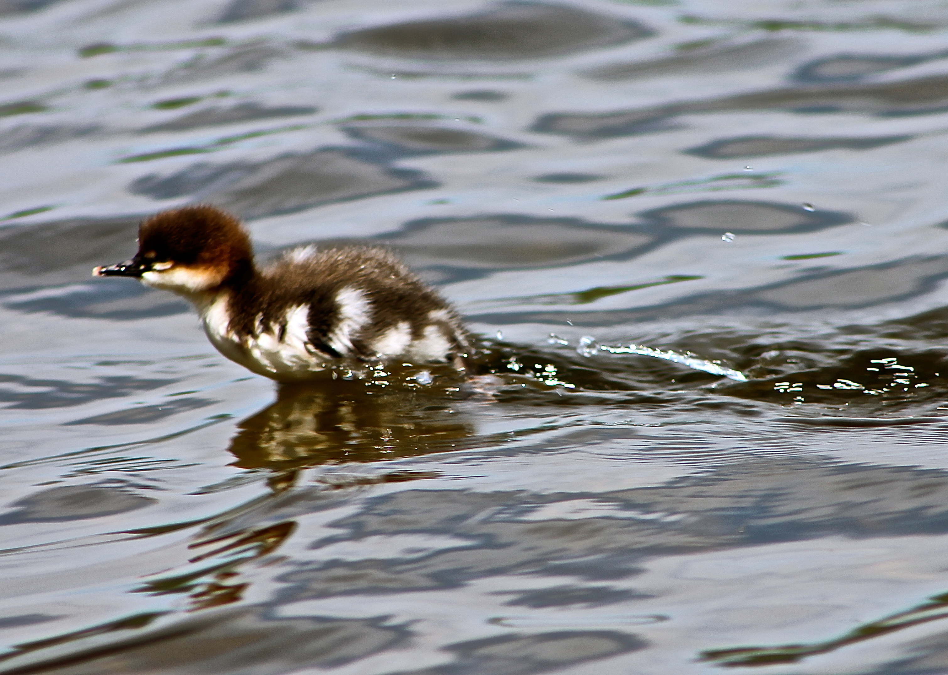 Almost Walking On Water