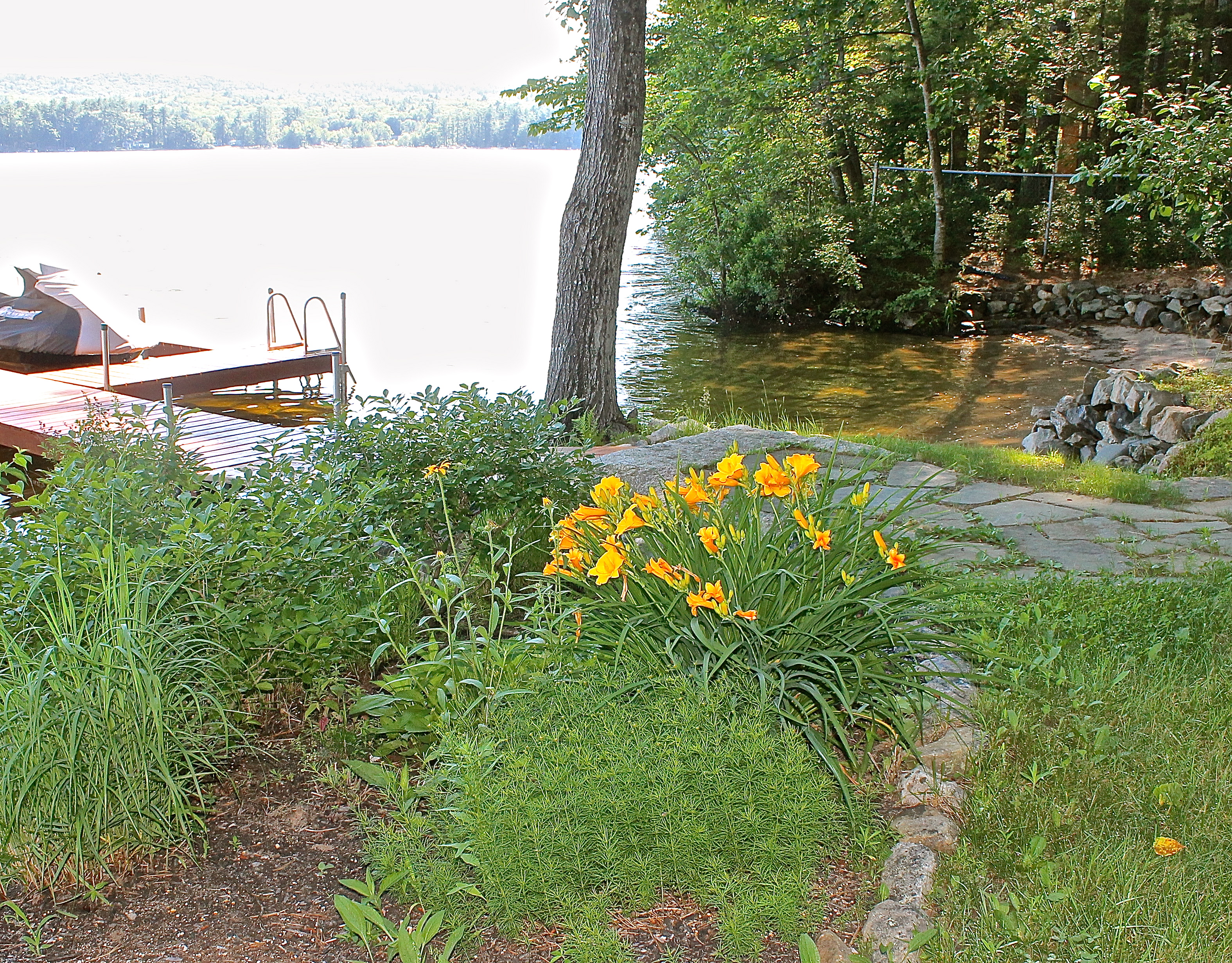 Lakeside Garden Just Starting To Bloom