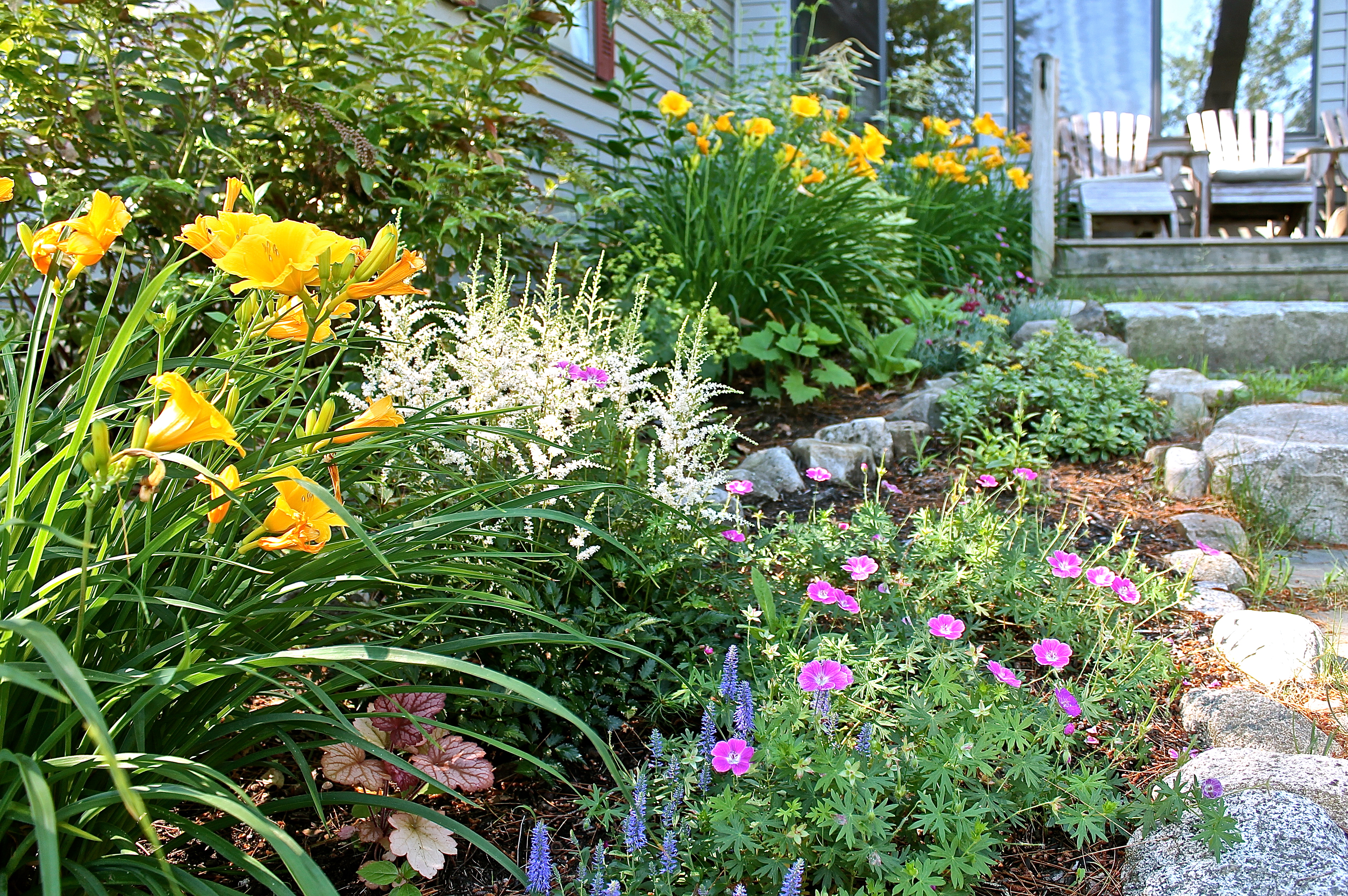 Garden By Our Back Deck This Year