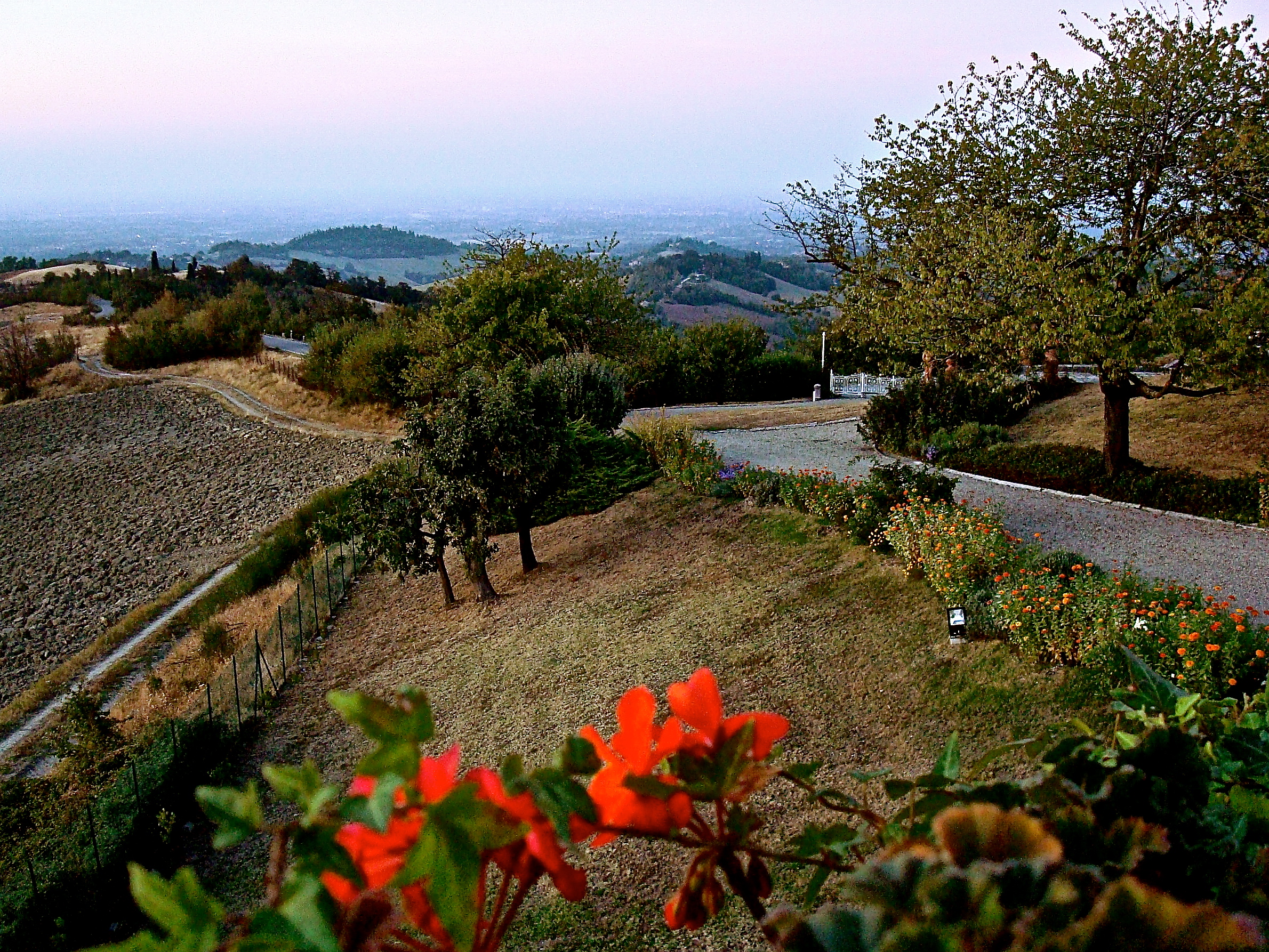 Winding Back Road 