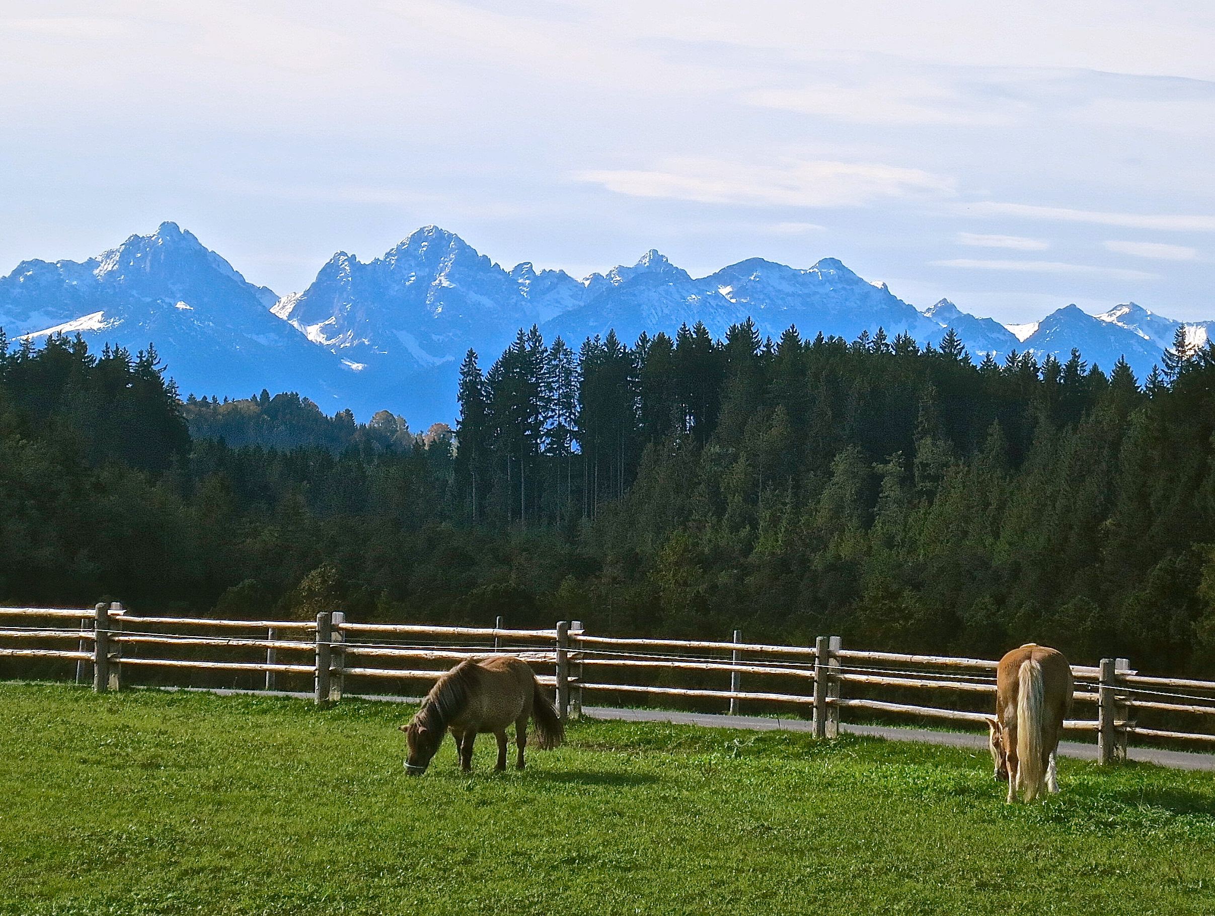 Rolling Pastures Surrond The Wies Church