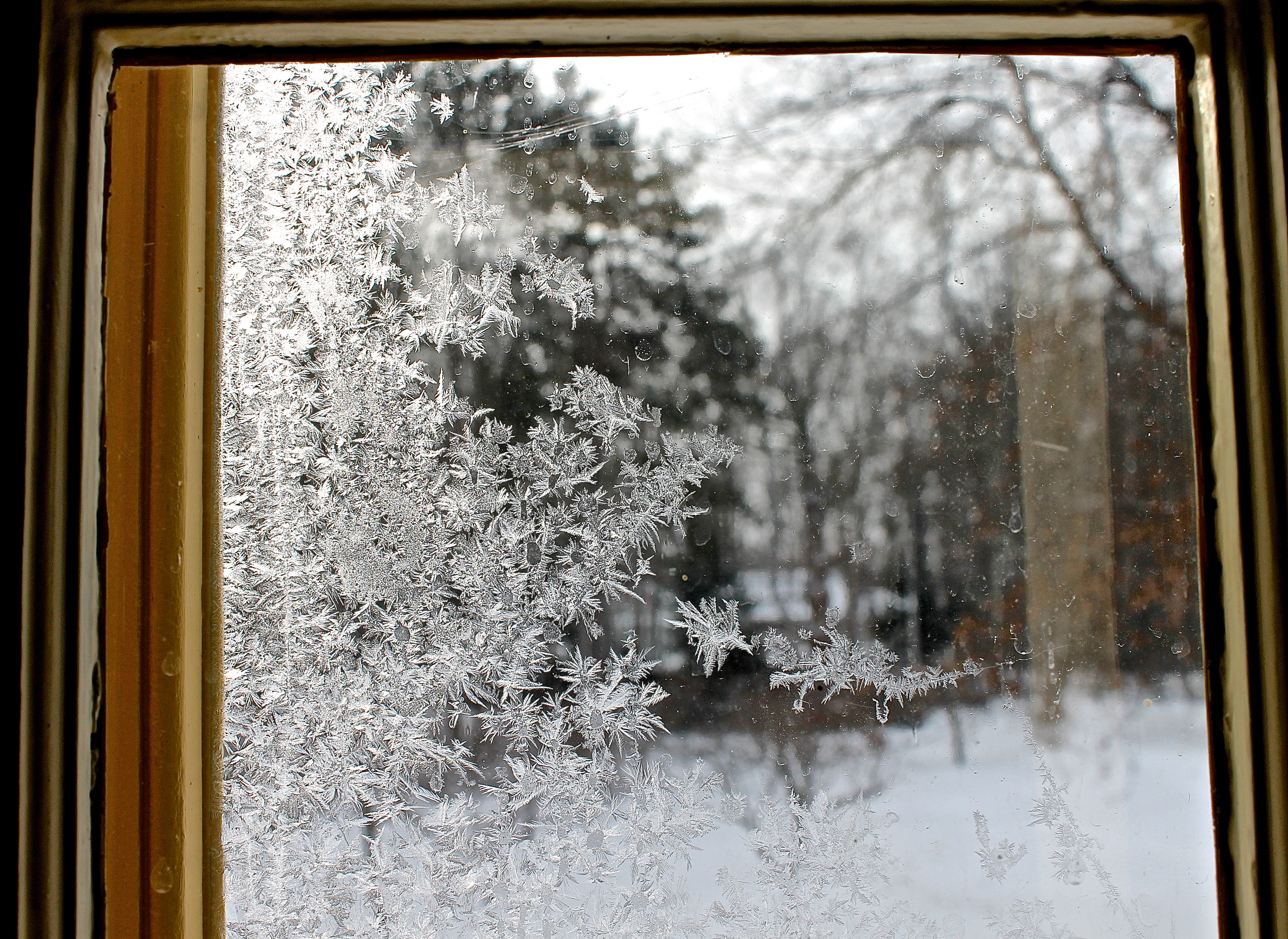 Frost Obscures The Light And View Outdoors  But The Patterns Are Beautiful