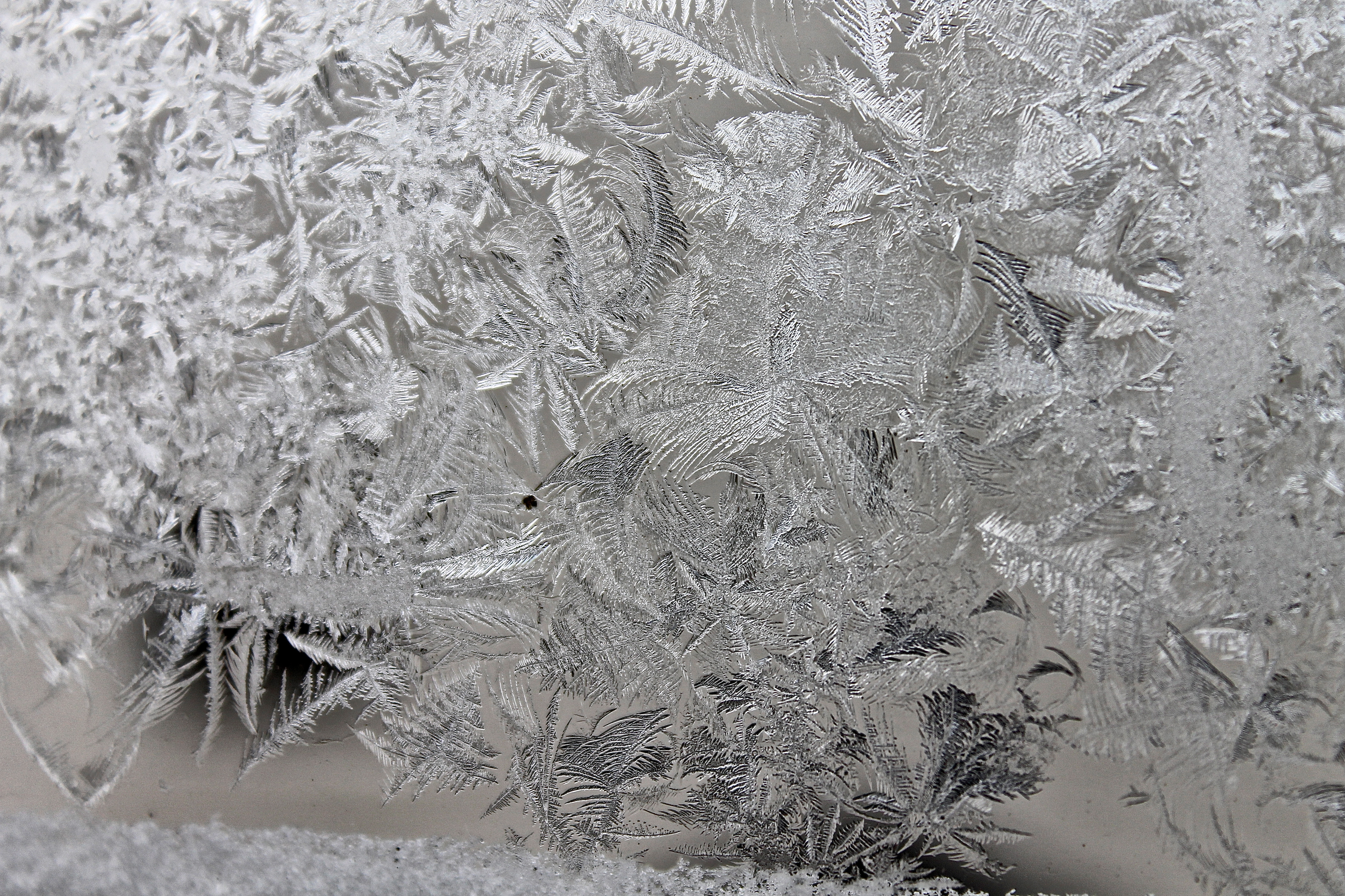 Frosted Window Pane
