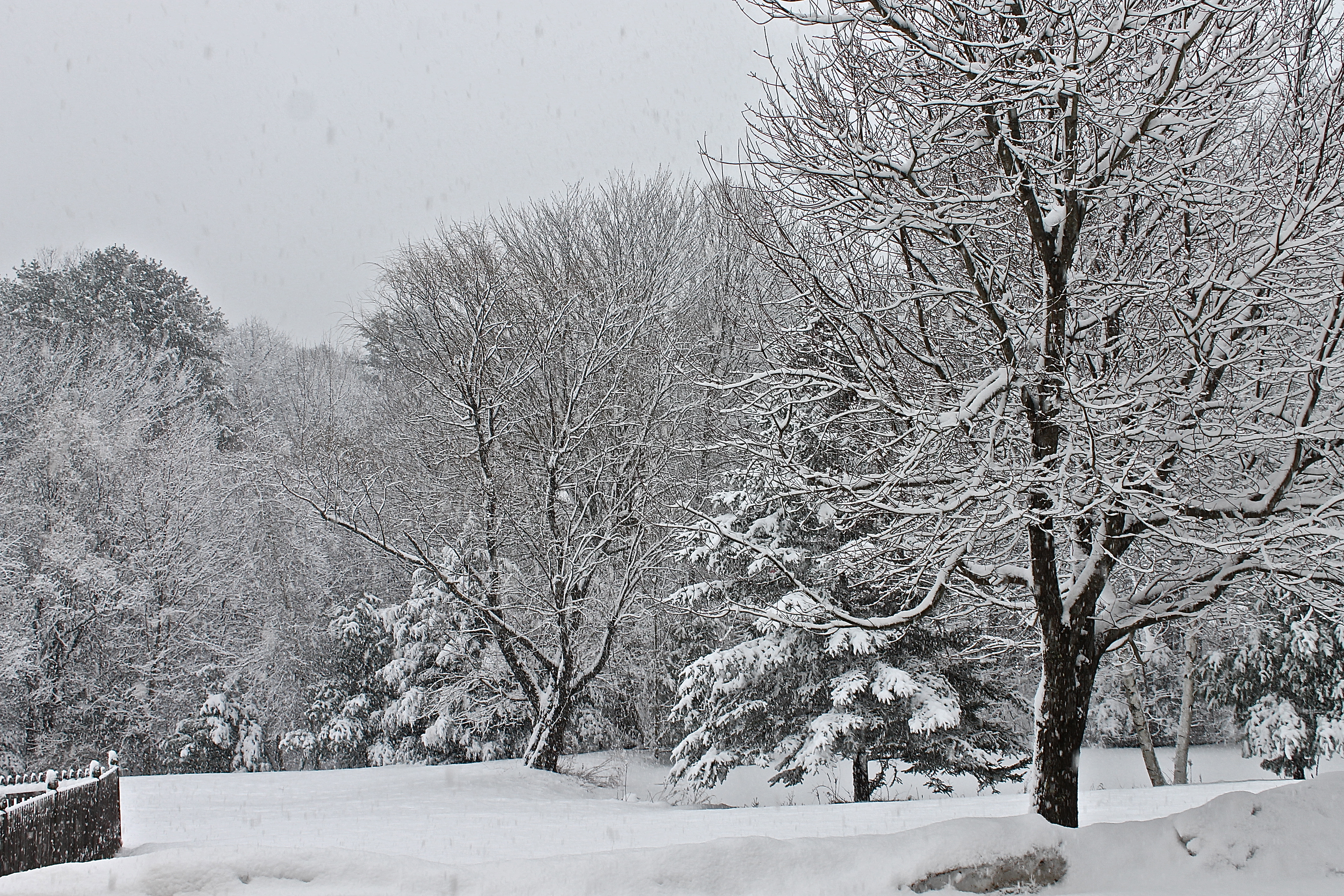 A Gray Day In New England Looks Like A Black And White Photo  