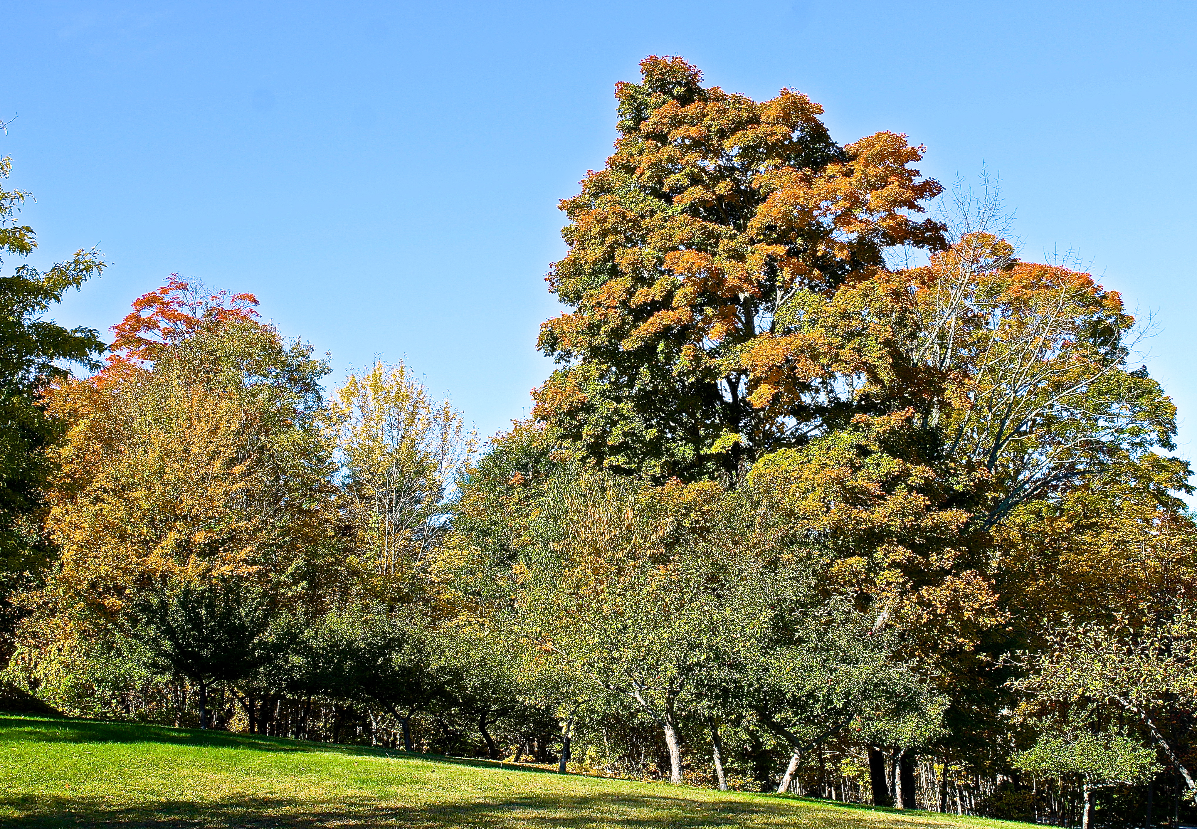The Beautiful Fall Colors Of New England