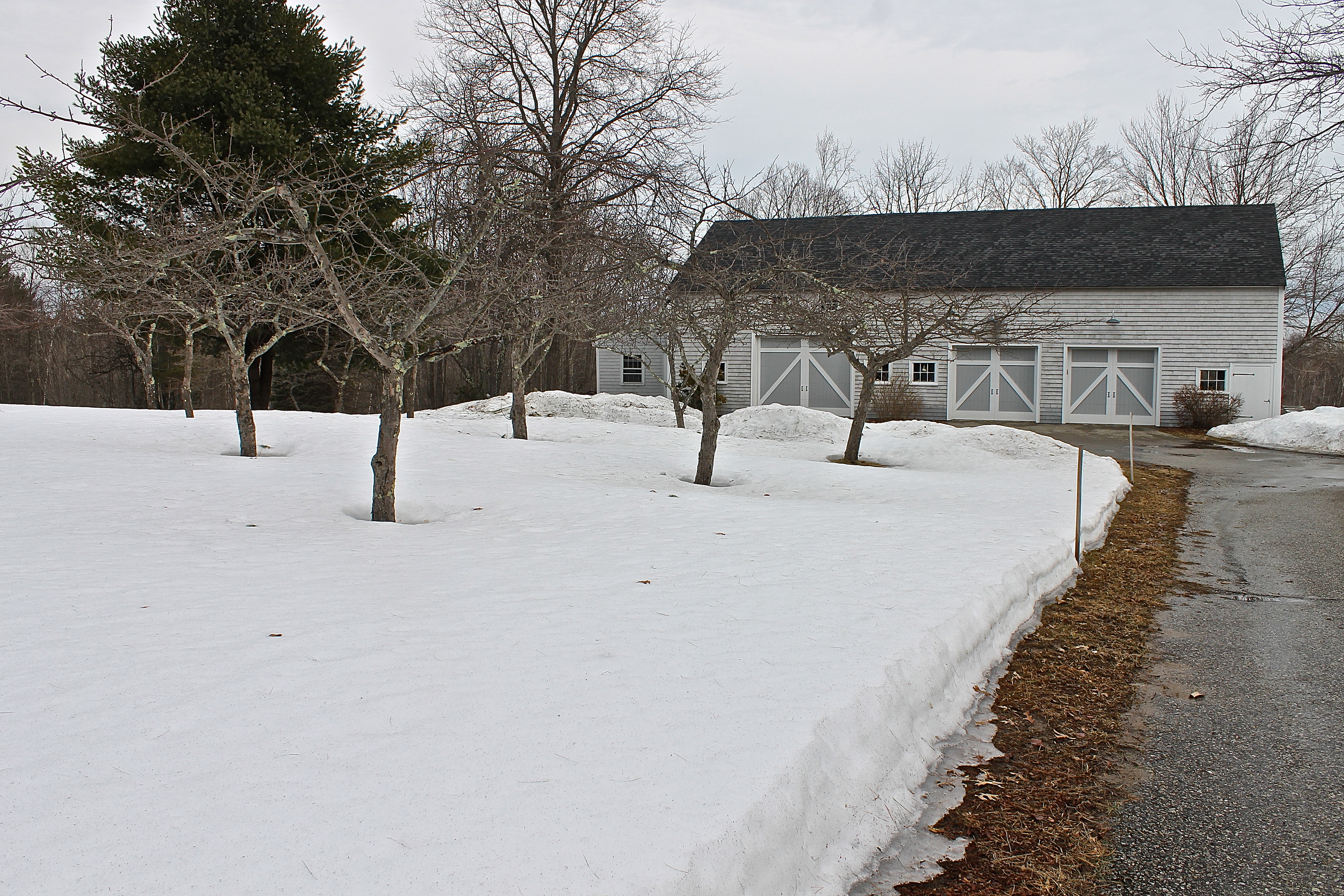 More Than A Foot Of Snow Still Covers The Orchard The First Week Of April