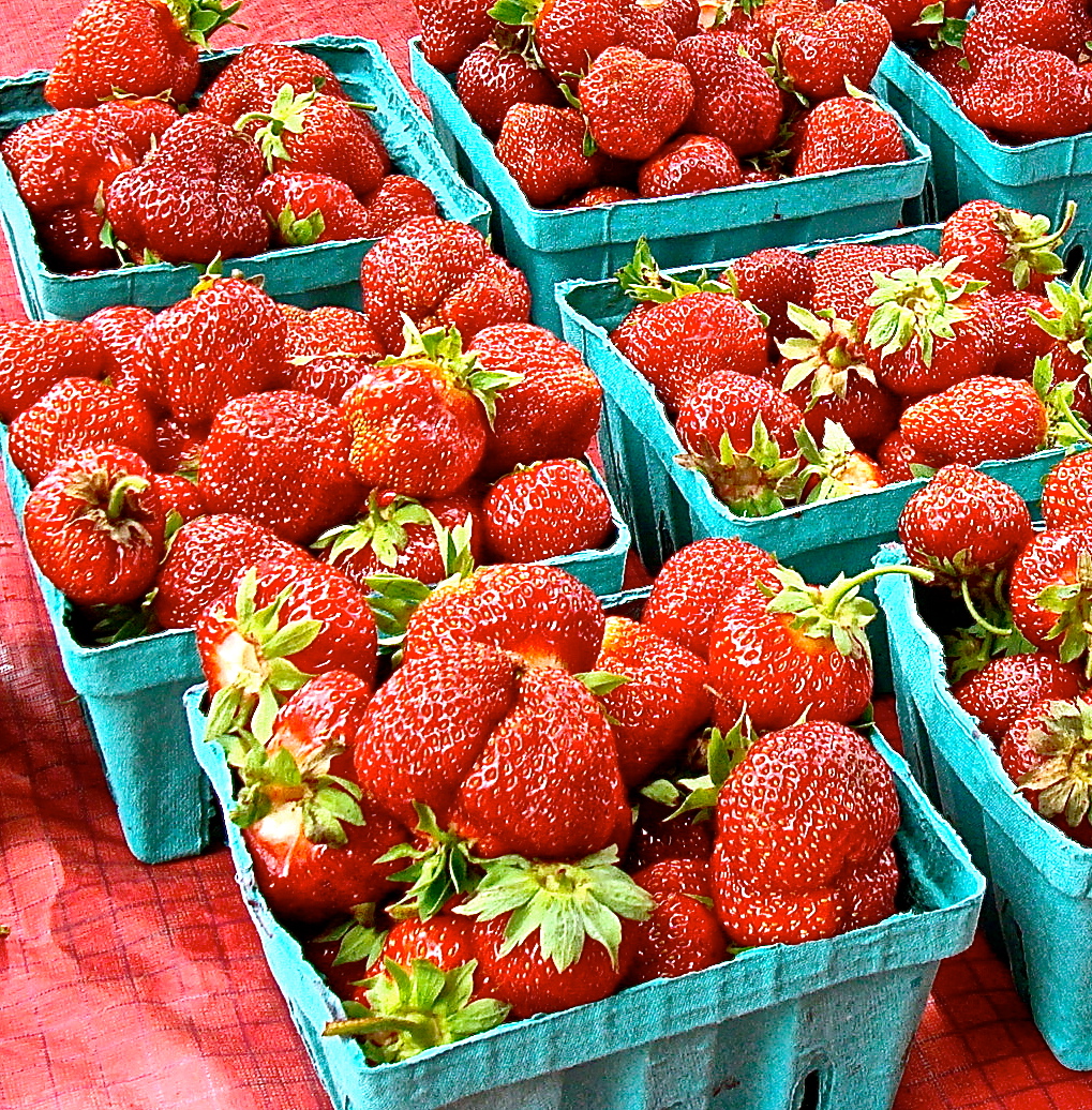 Sweet Summer Strawberries