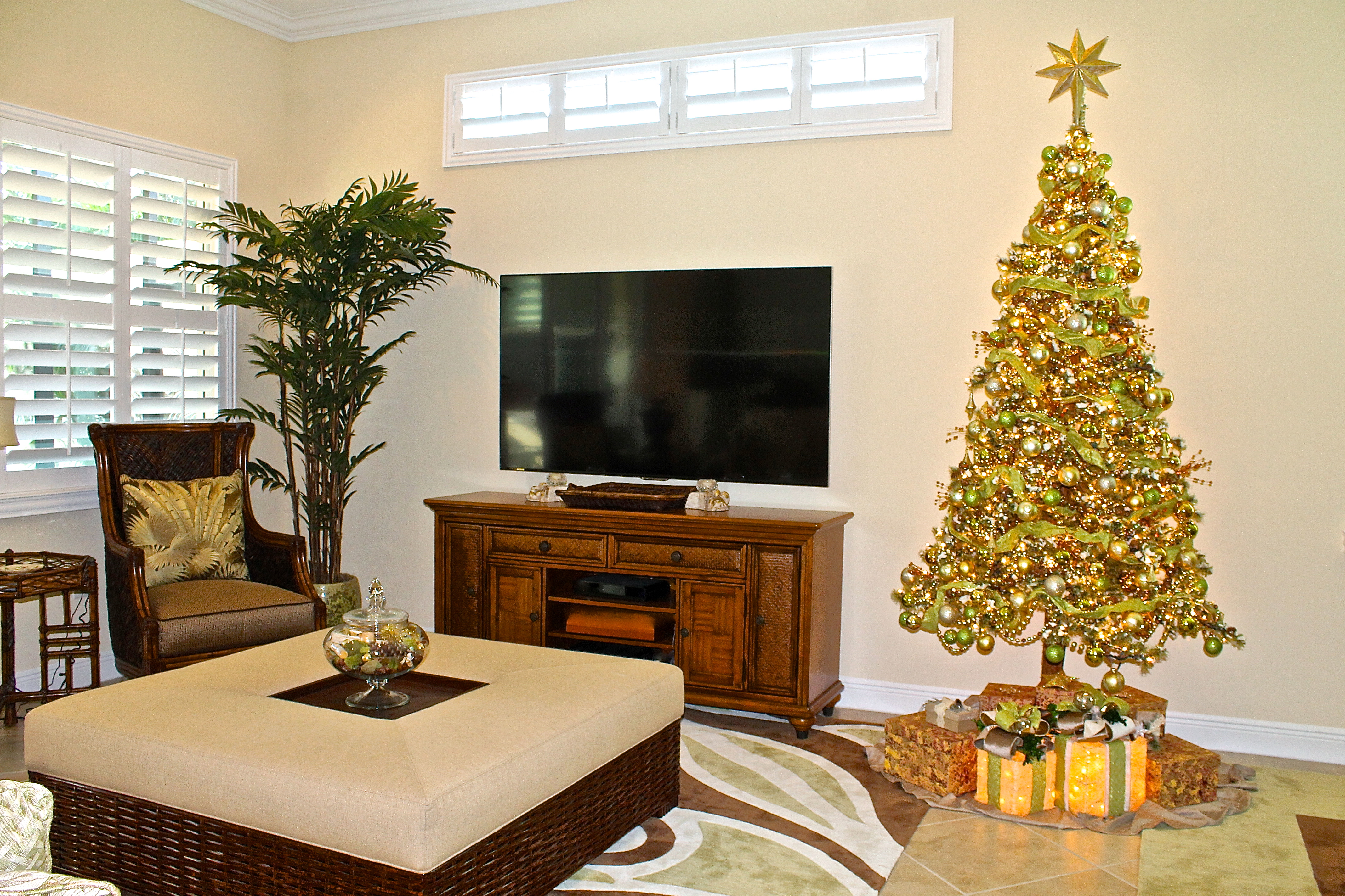 Our Christmas Tree