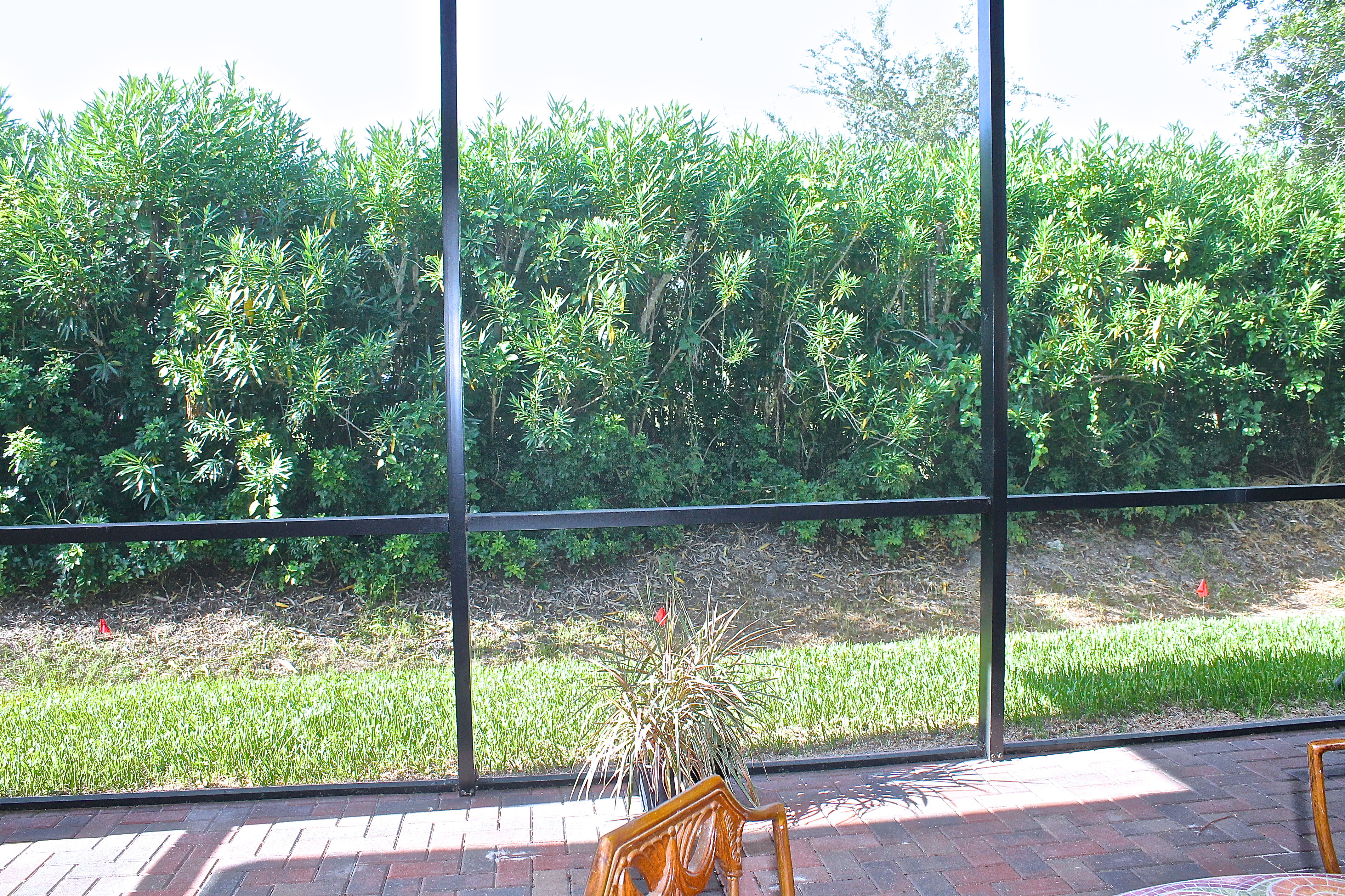 View Of Back Yard From Great Room And Patio
