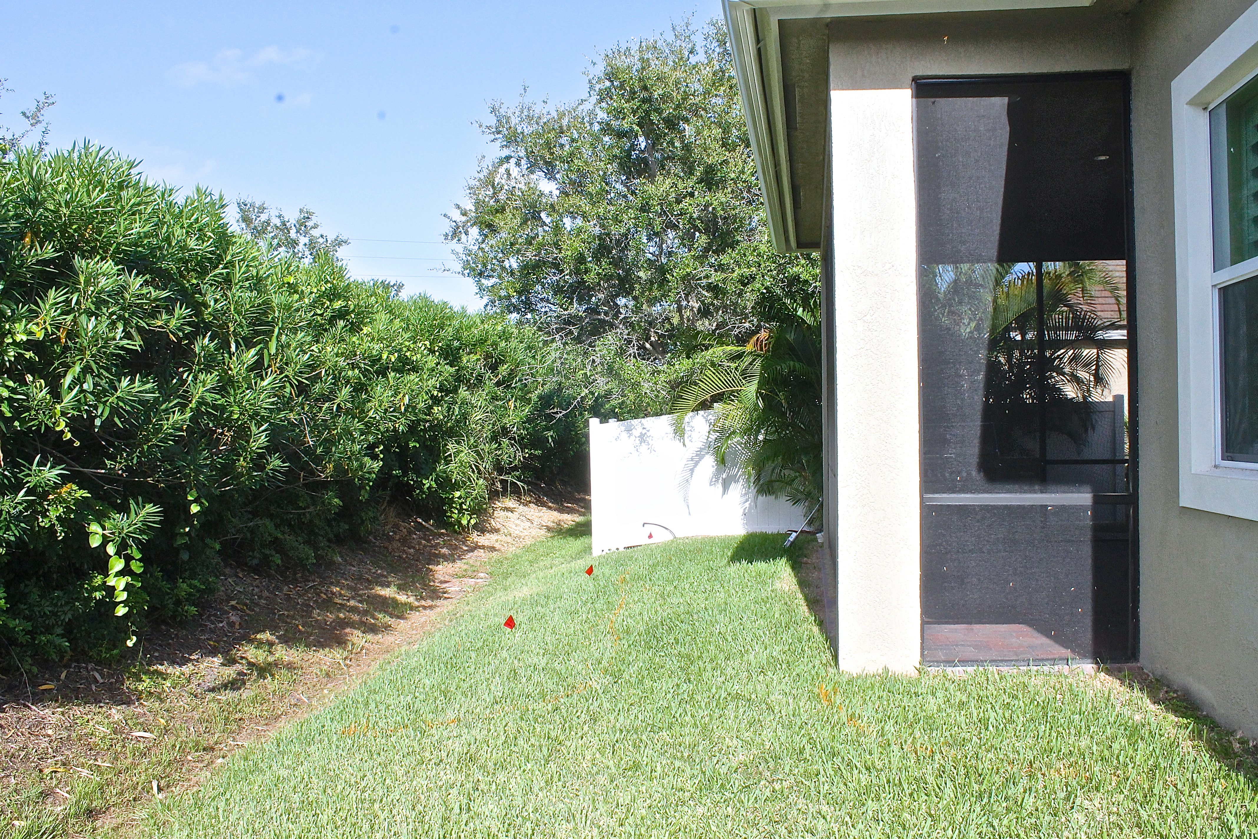 Narrow Backyard With Swale In Front Of Oleander Hedge 