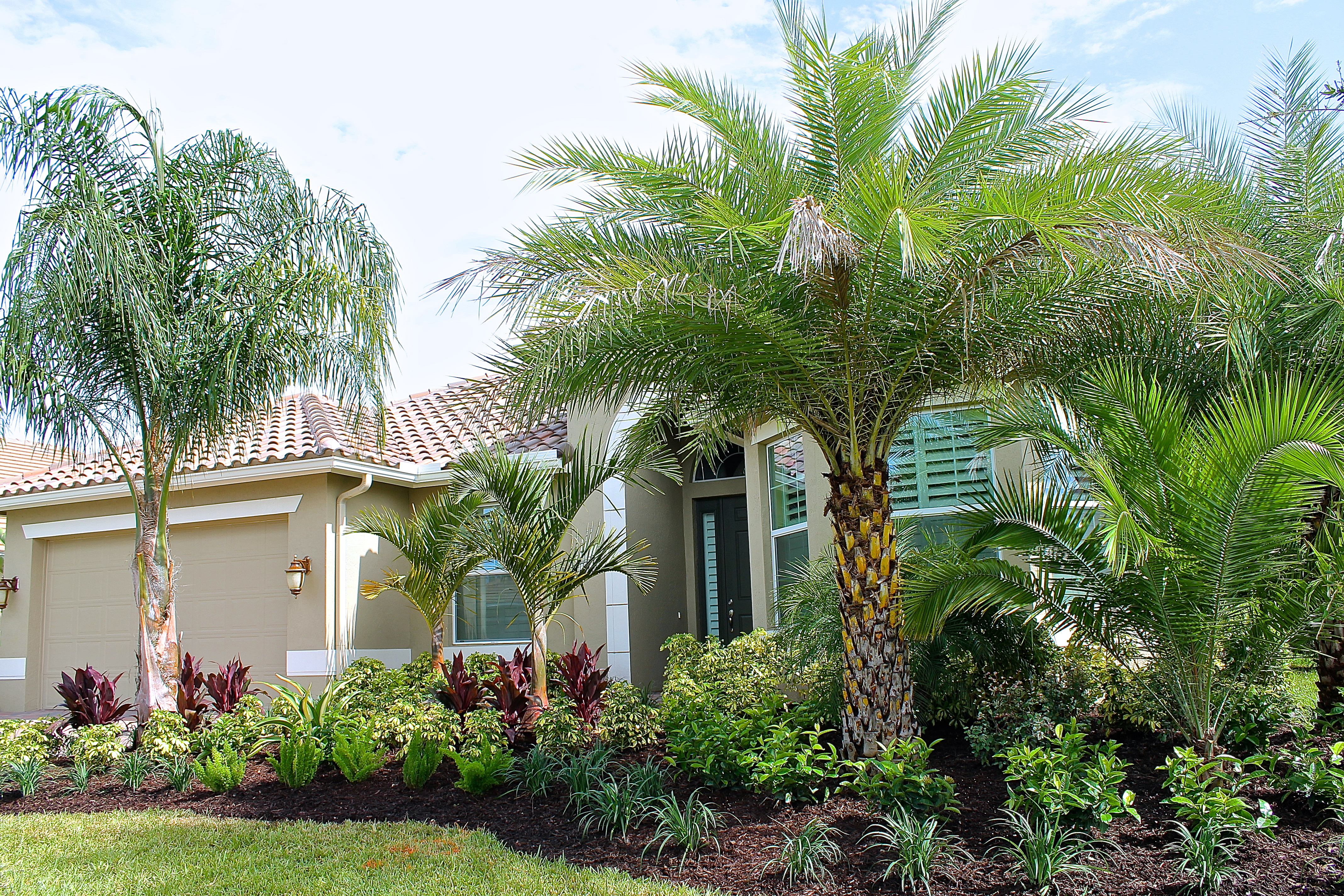 Our New Tropical Landscaping