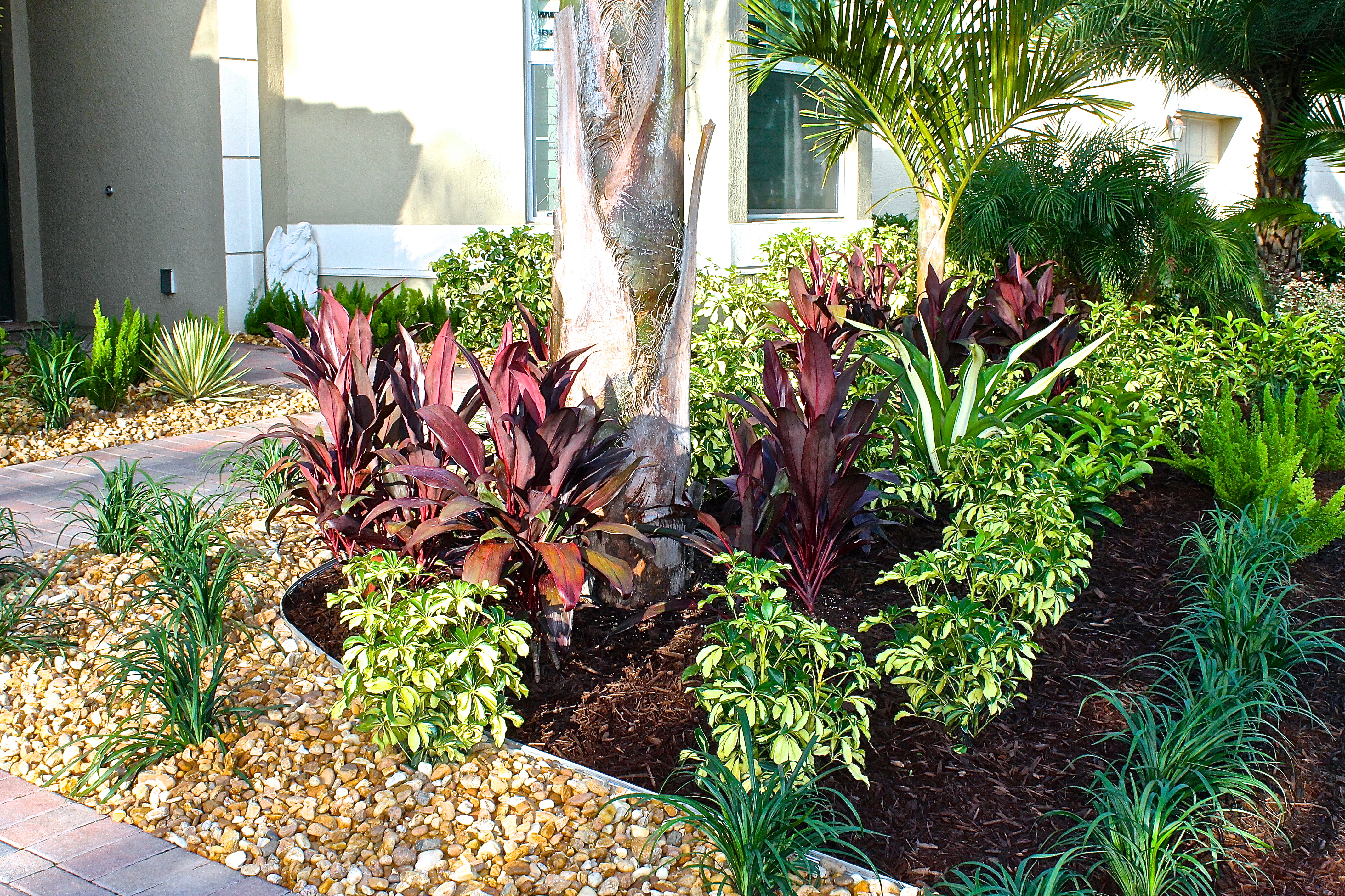 Tropical Plants