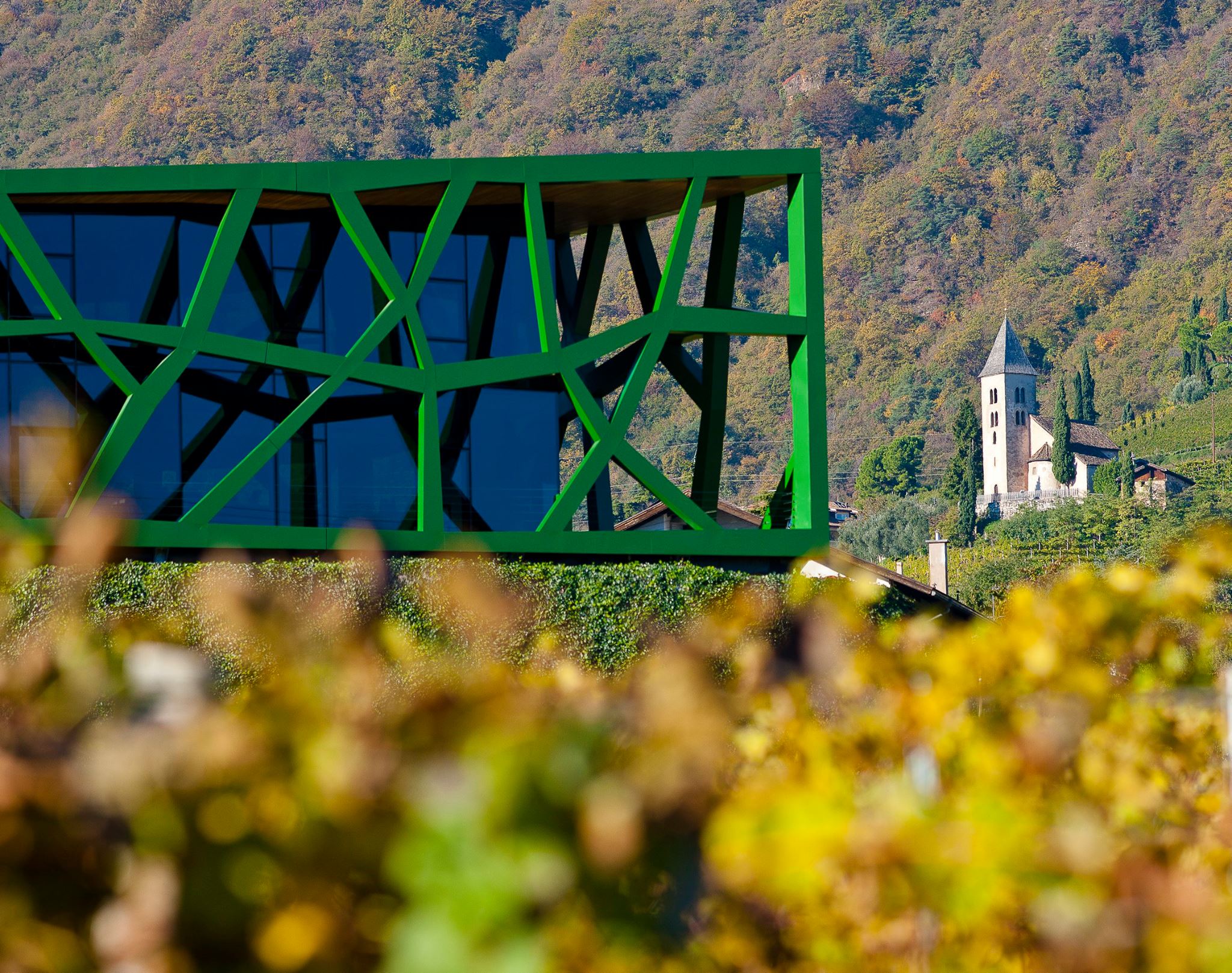 Tramin vineyards and winery 