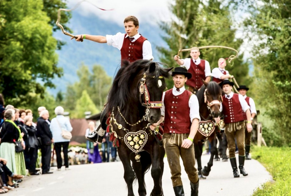 austrian mounted whip cracking club