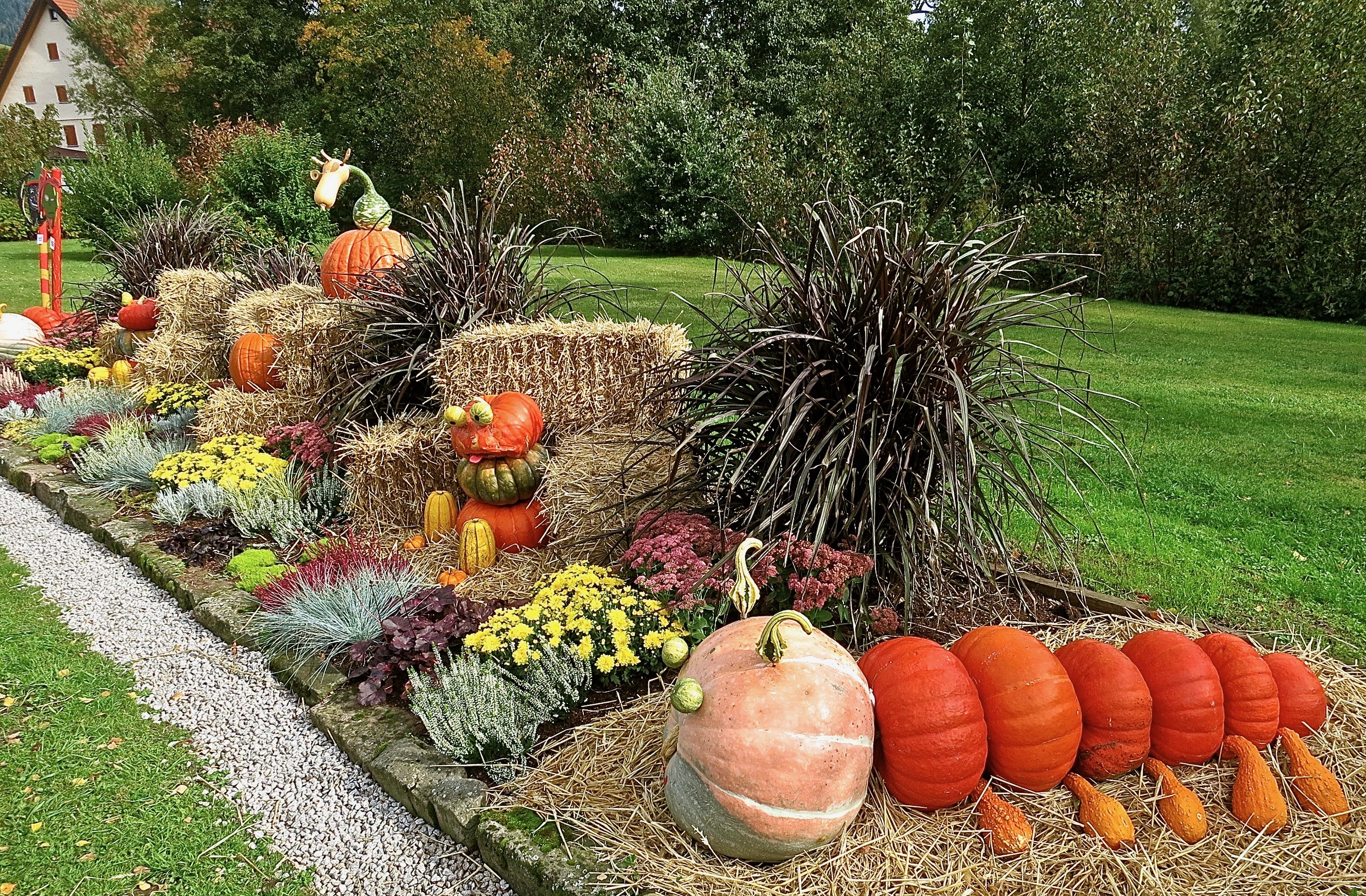 fall harvest display