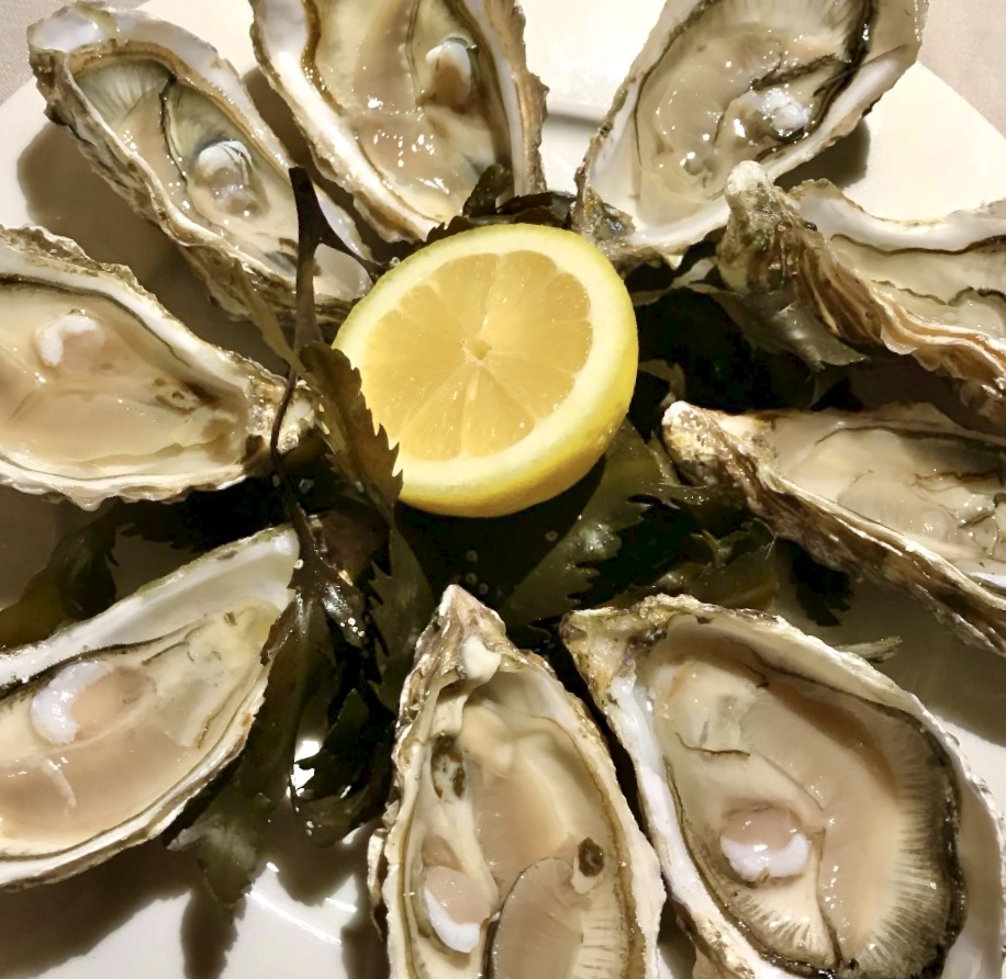 fresh shucked oysters
