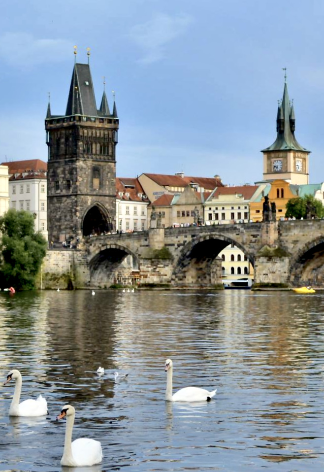 the Charles Bridge