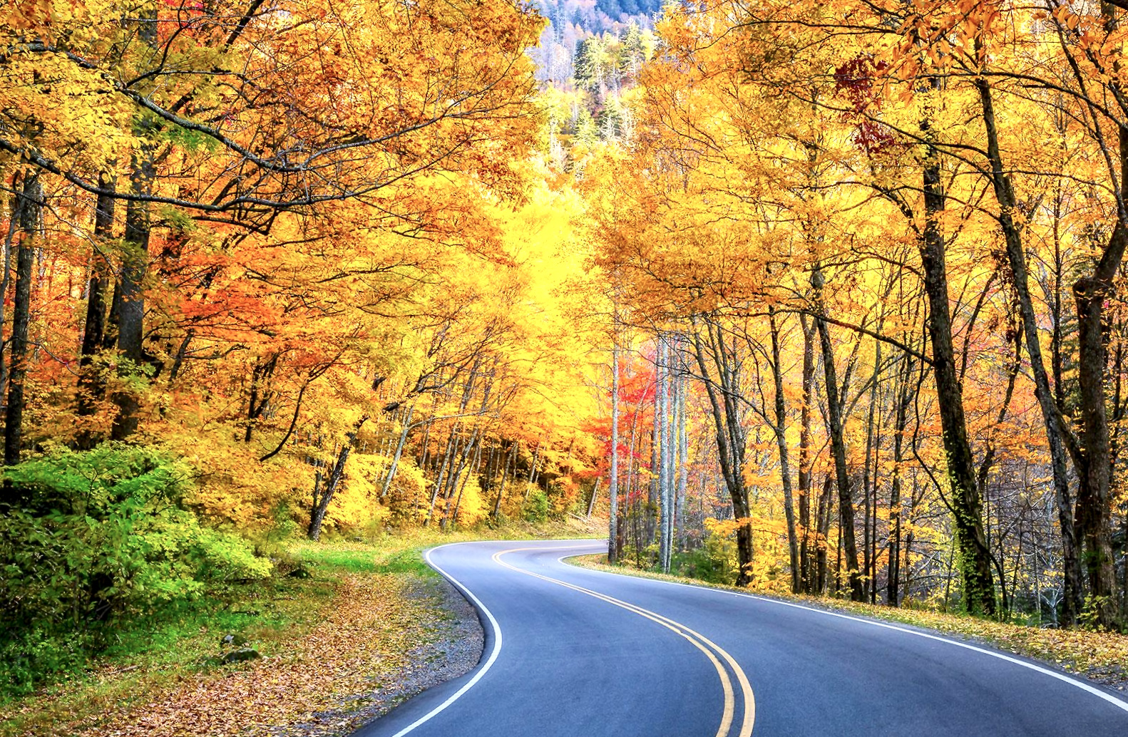 back-road-in-new-hampshire