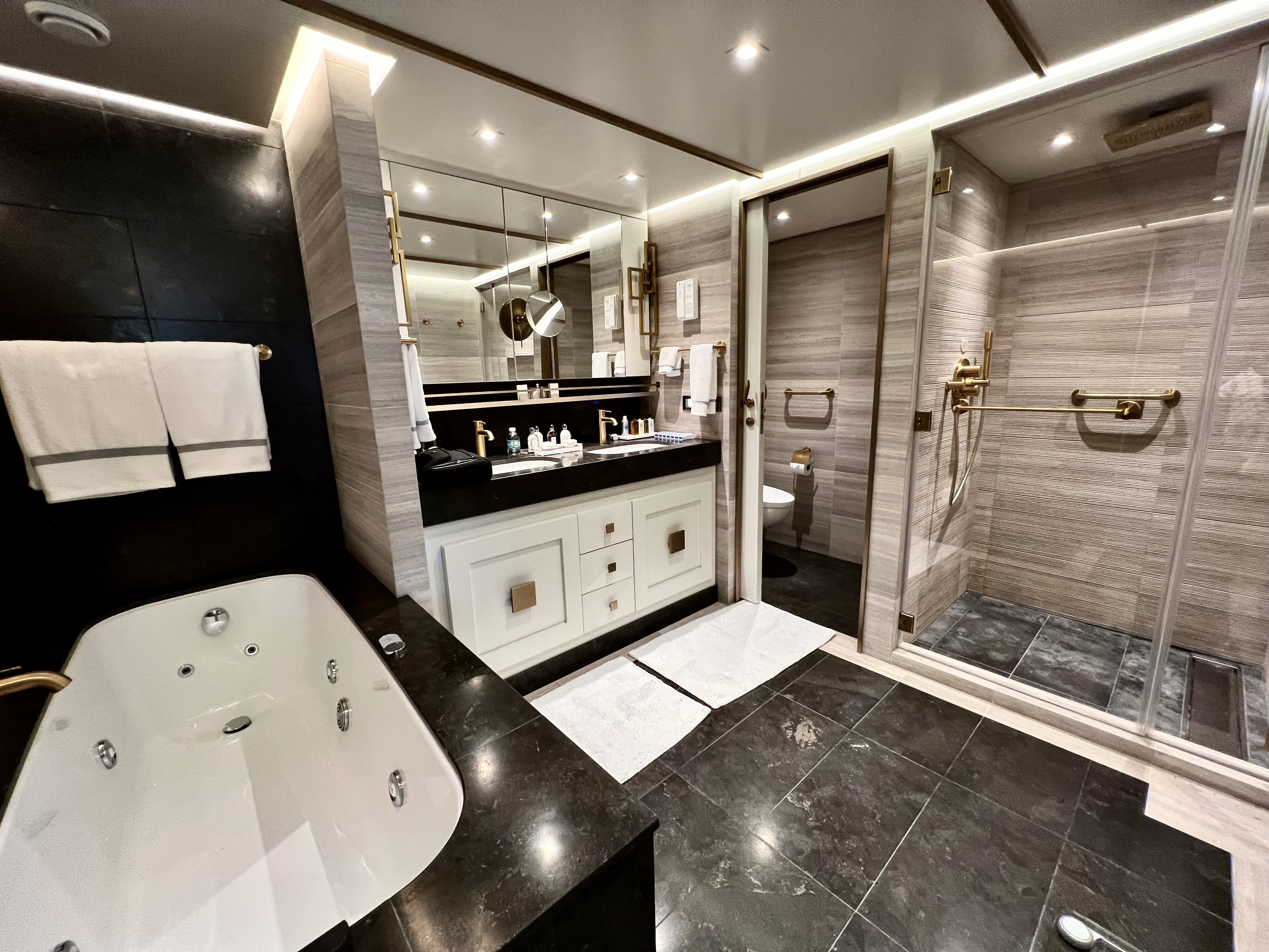 splendor suite bathroom
