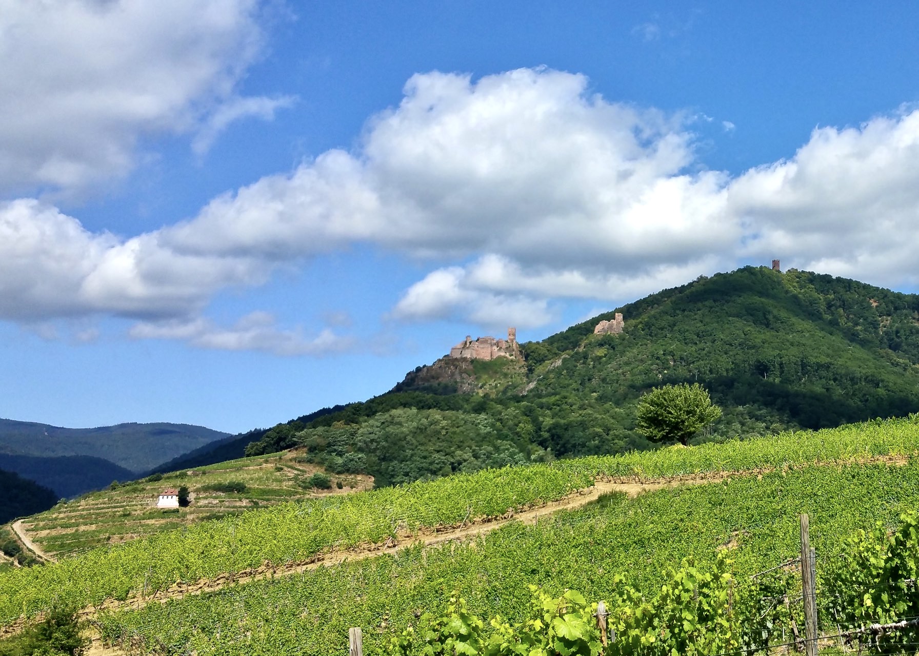the three castles of Ribeauvillé