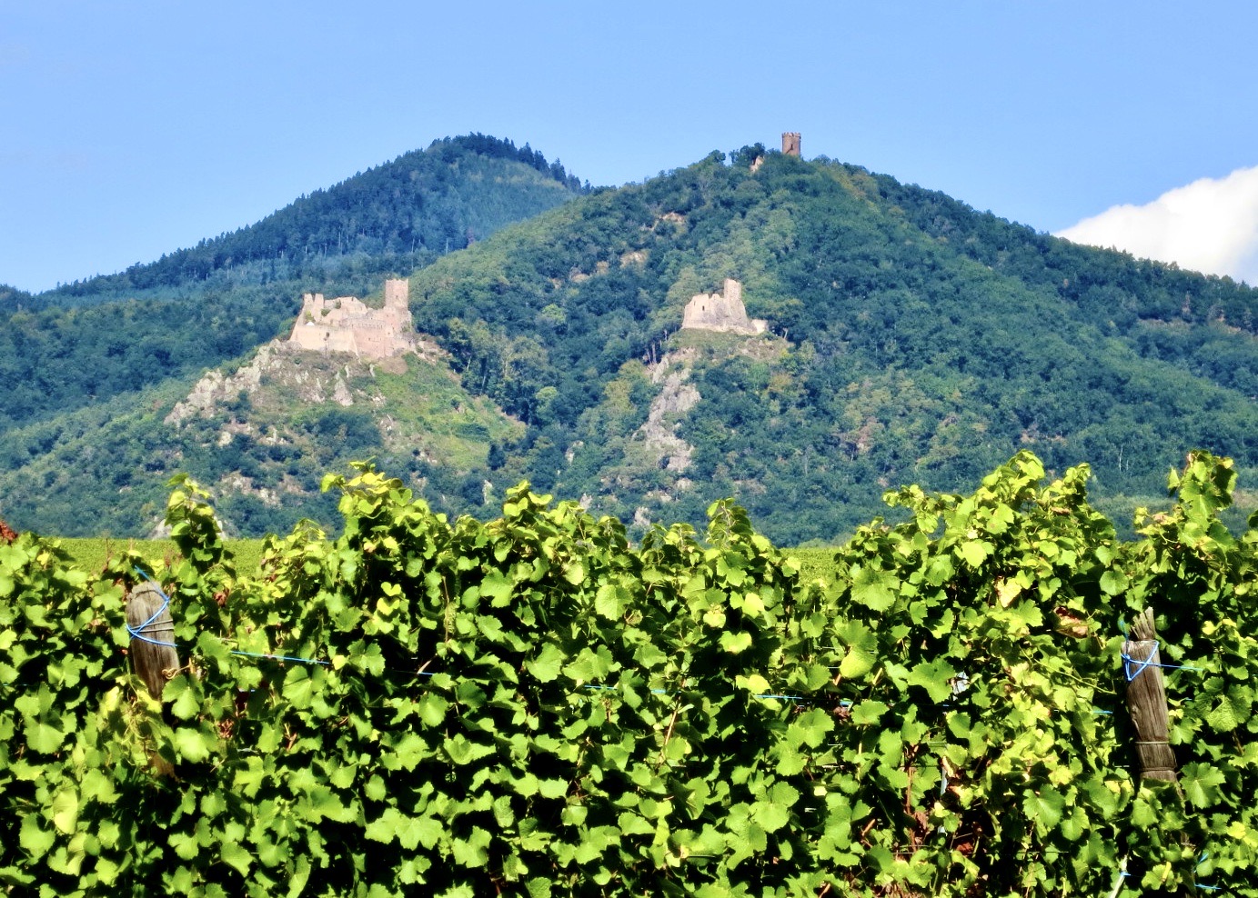 three castle ruins on the route du vin