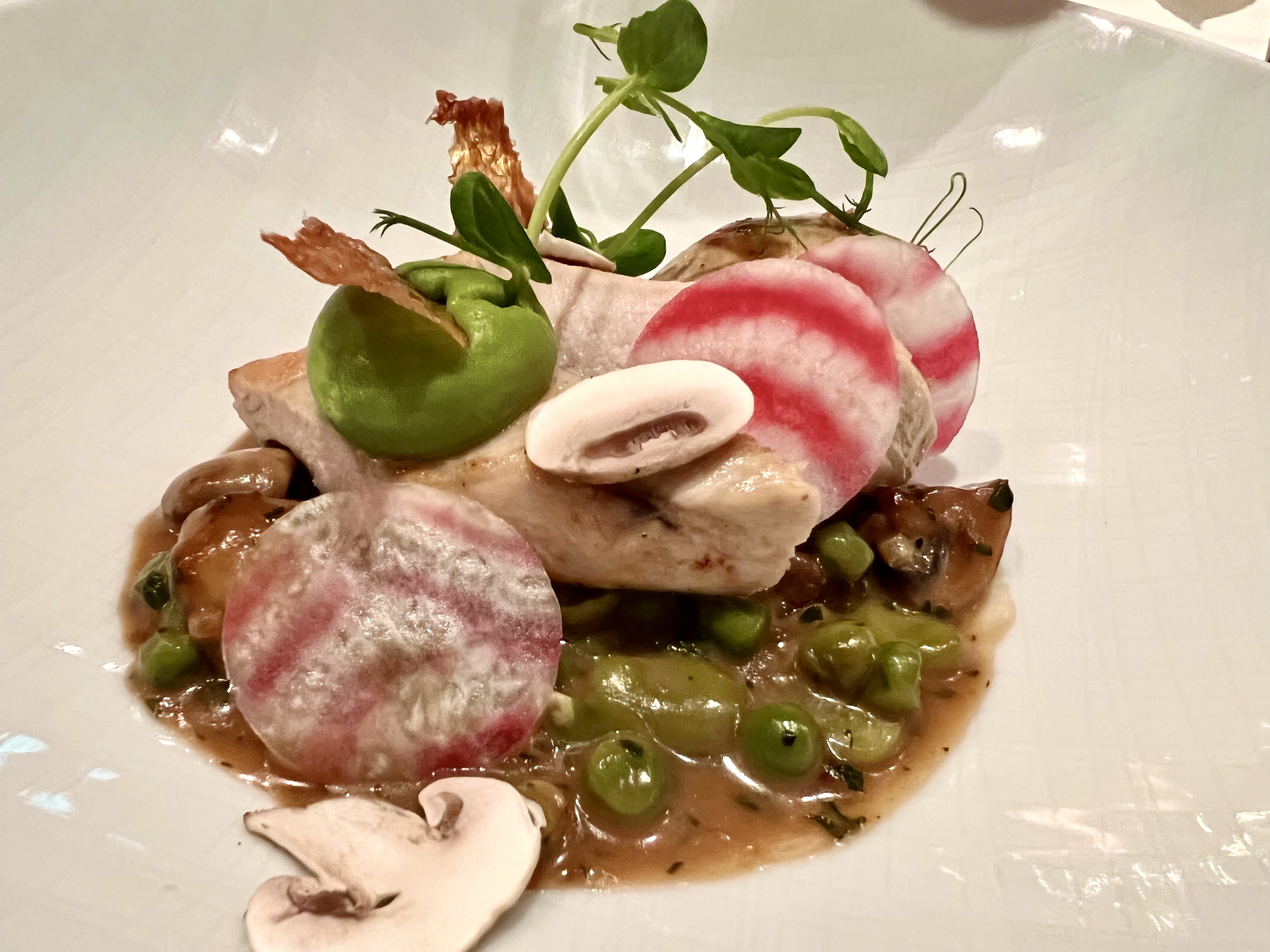 roasted chicken, broad beans, mushrooms and chioggio beets