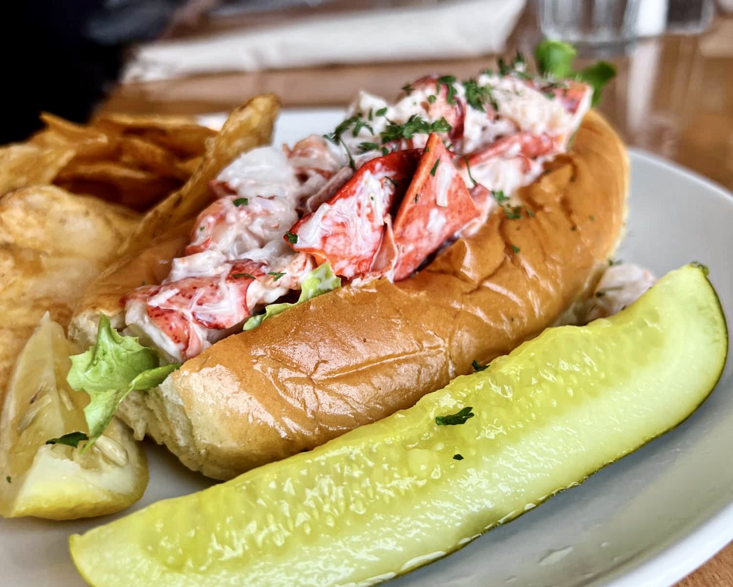maine lobster roll