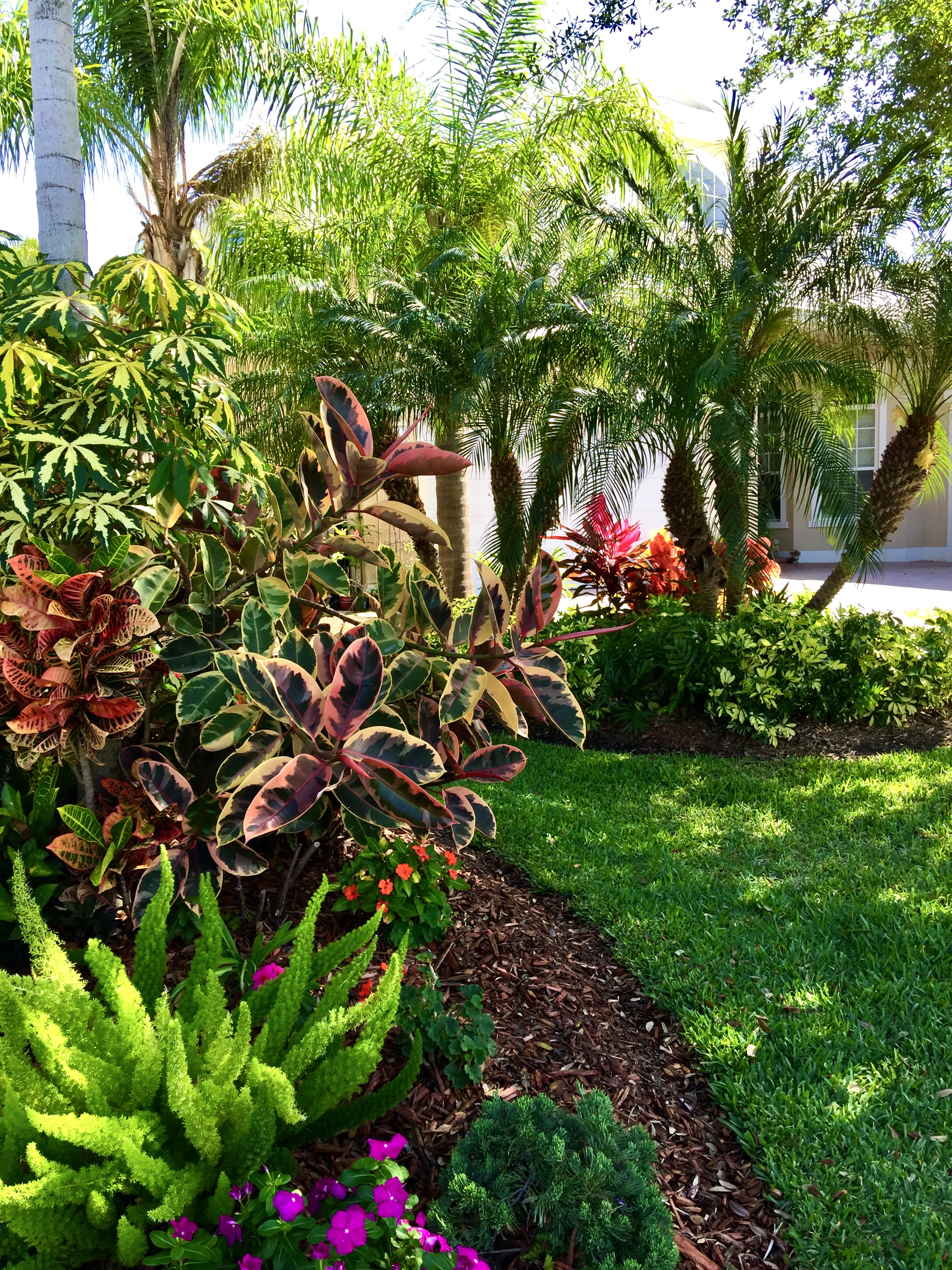 tropical garden