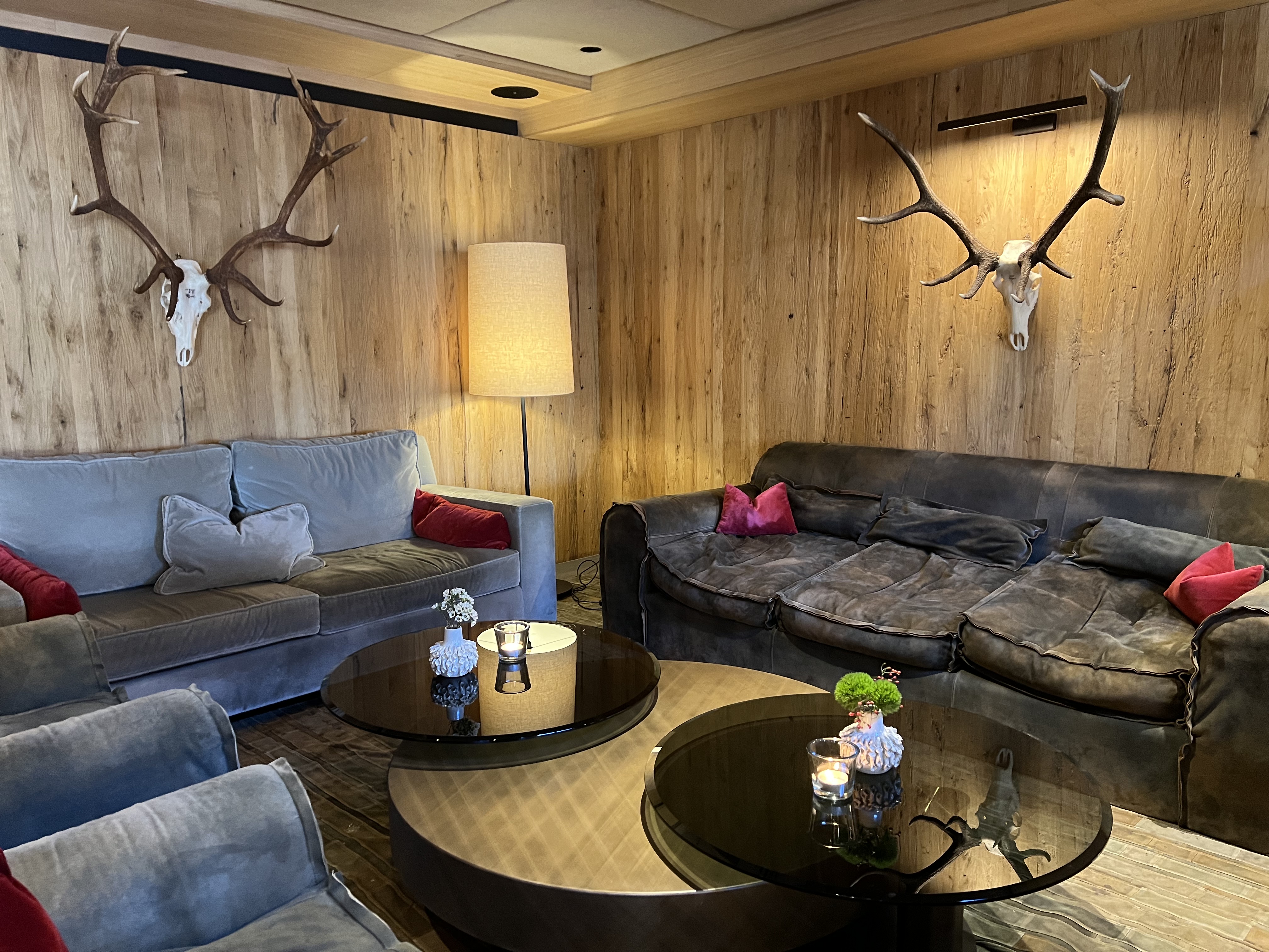 contemporary alpine decor