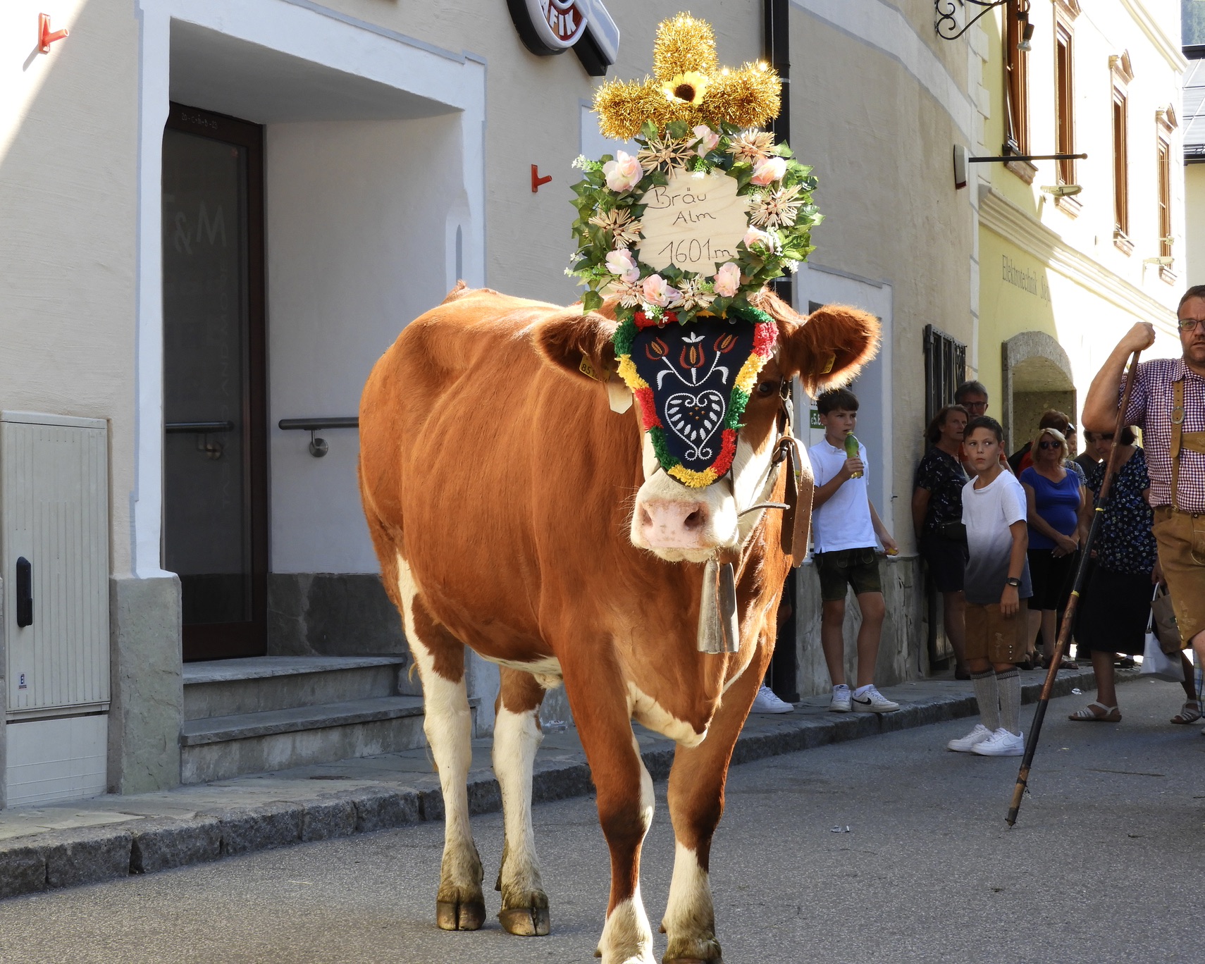 cow-decorated-almabtrieb