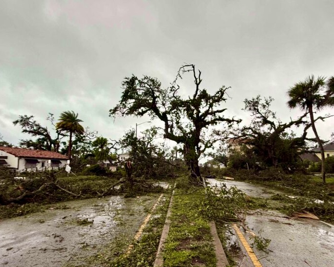 tree-damage-vero-beach
